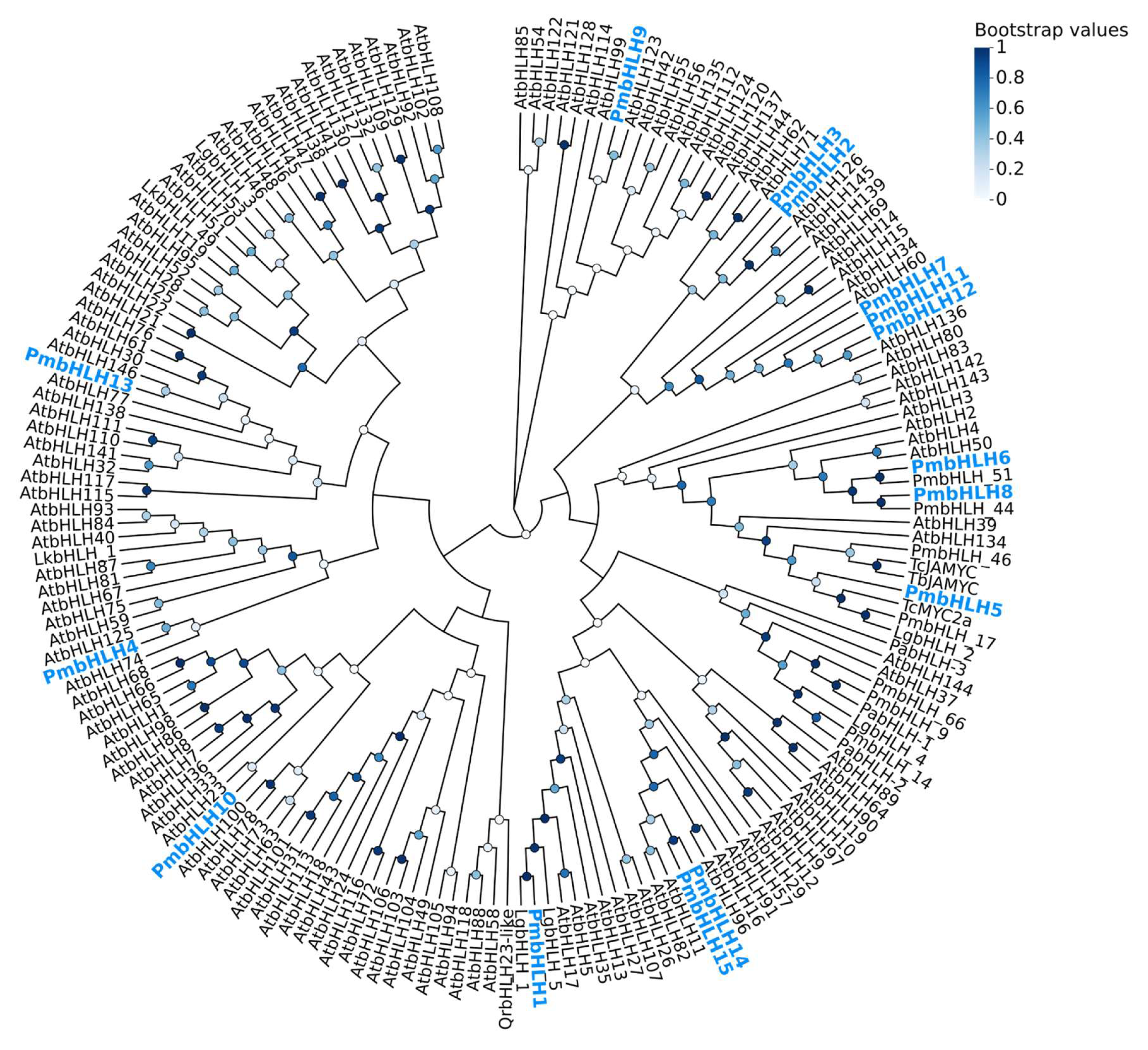 Plants 14 02038 g004