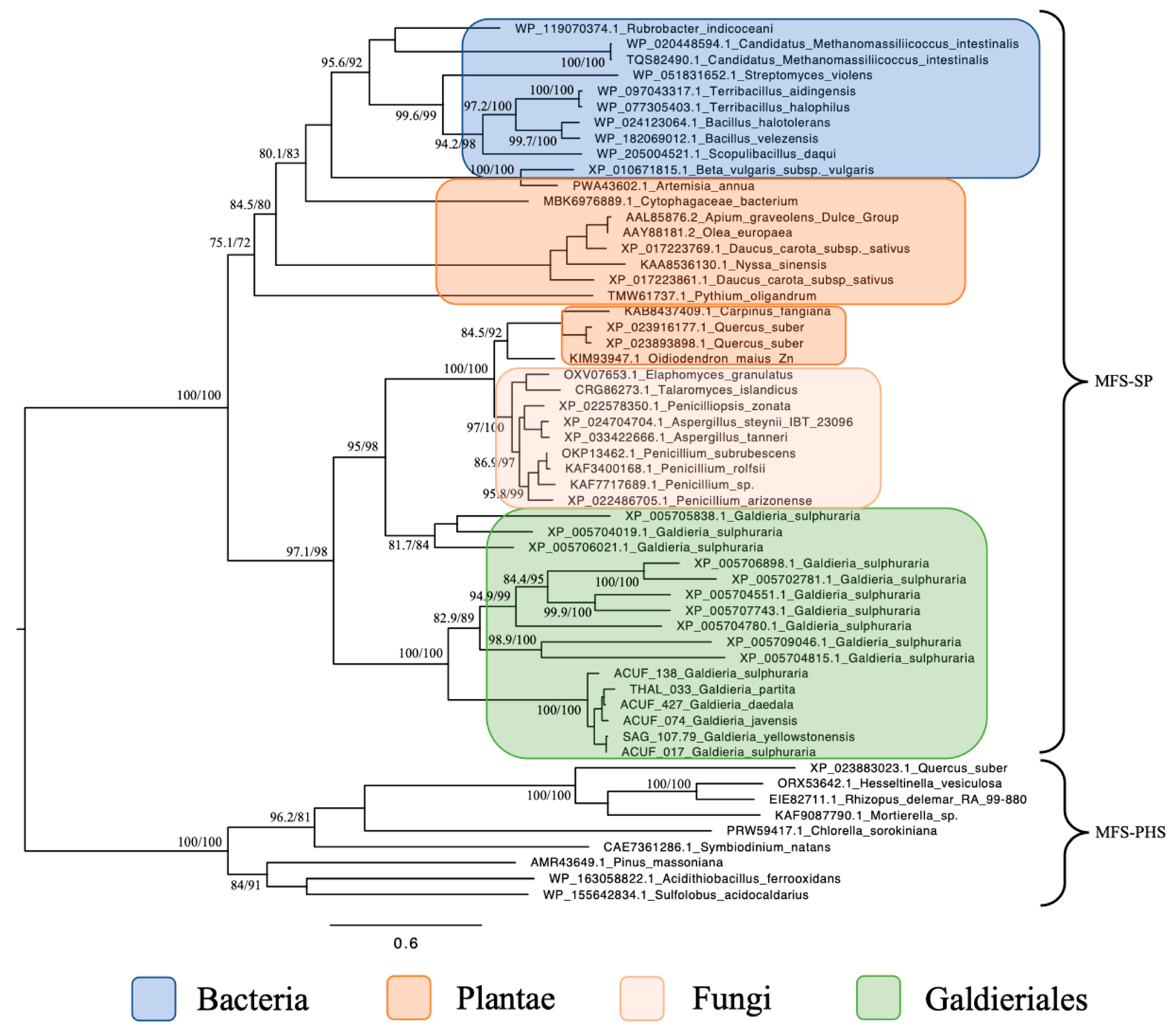 Plants 14 02043 g001