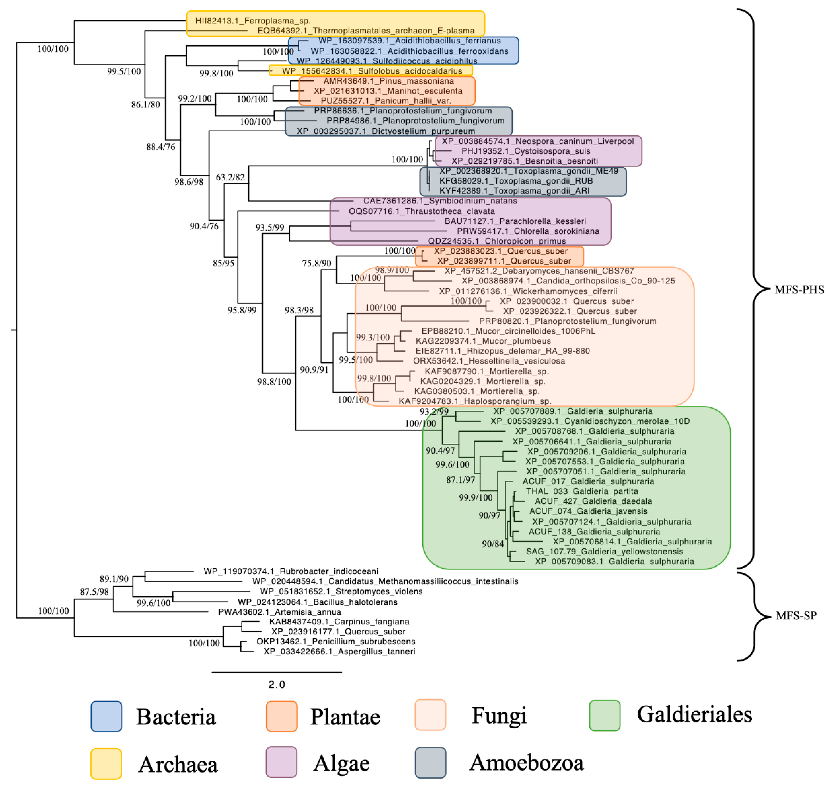 Plants 14 02043 g002