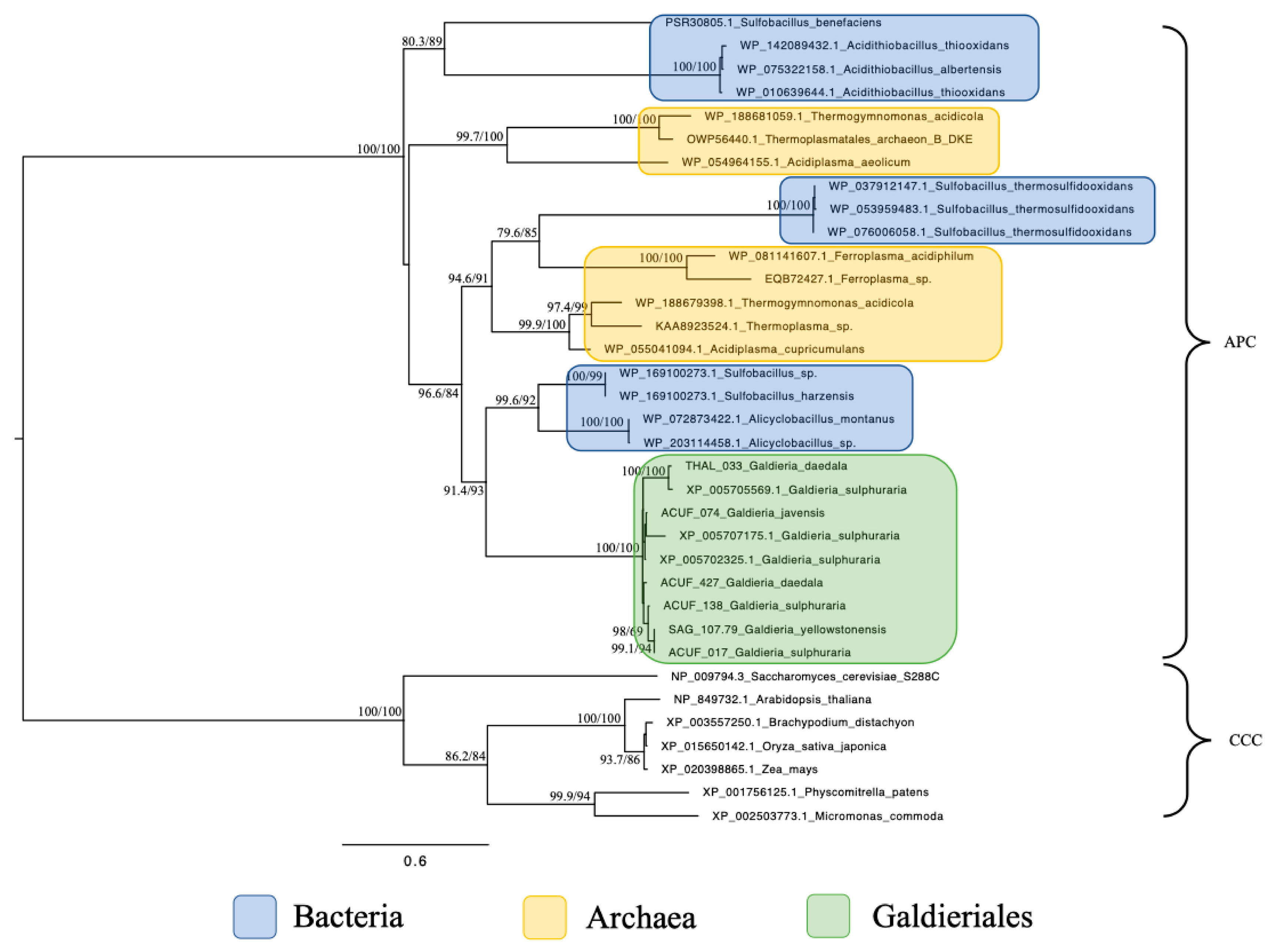 Plants 14 02043 g003