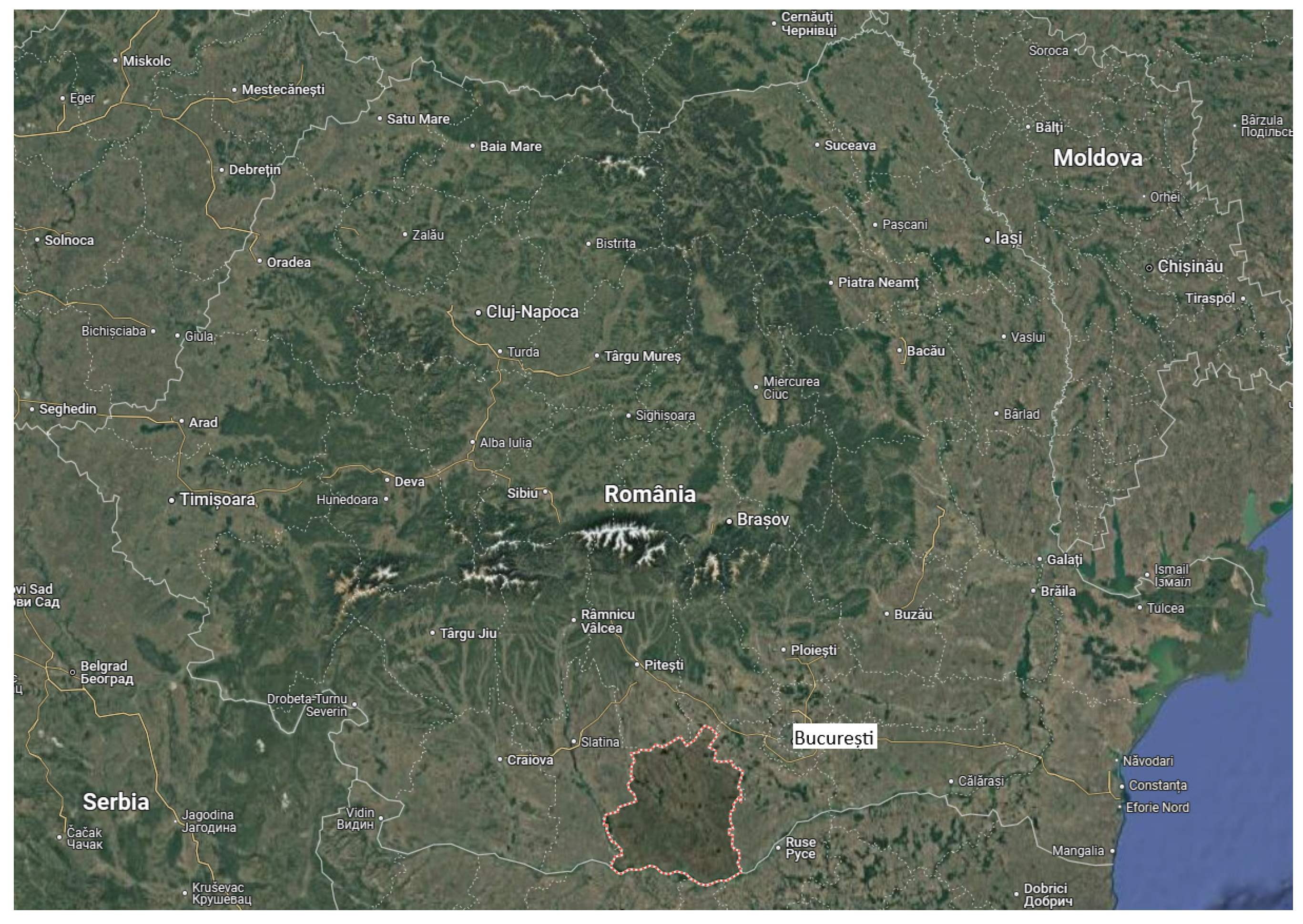 Plants 14 02056 g002