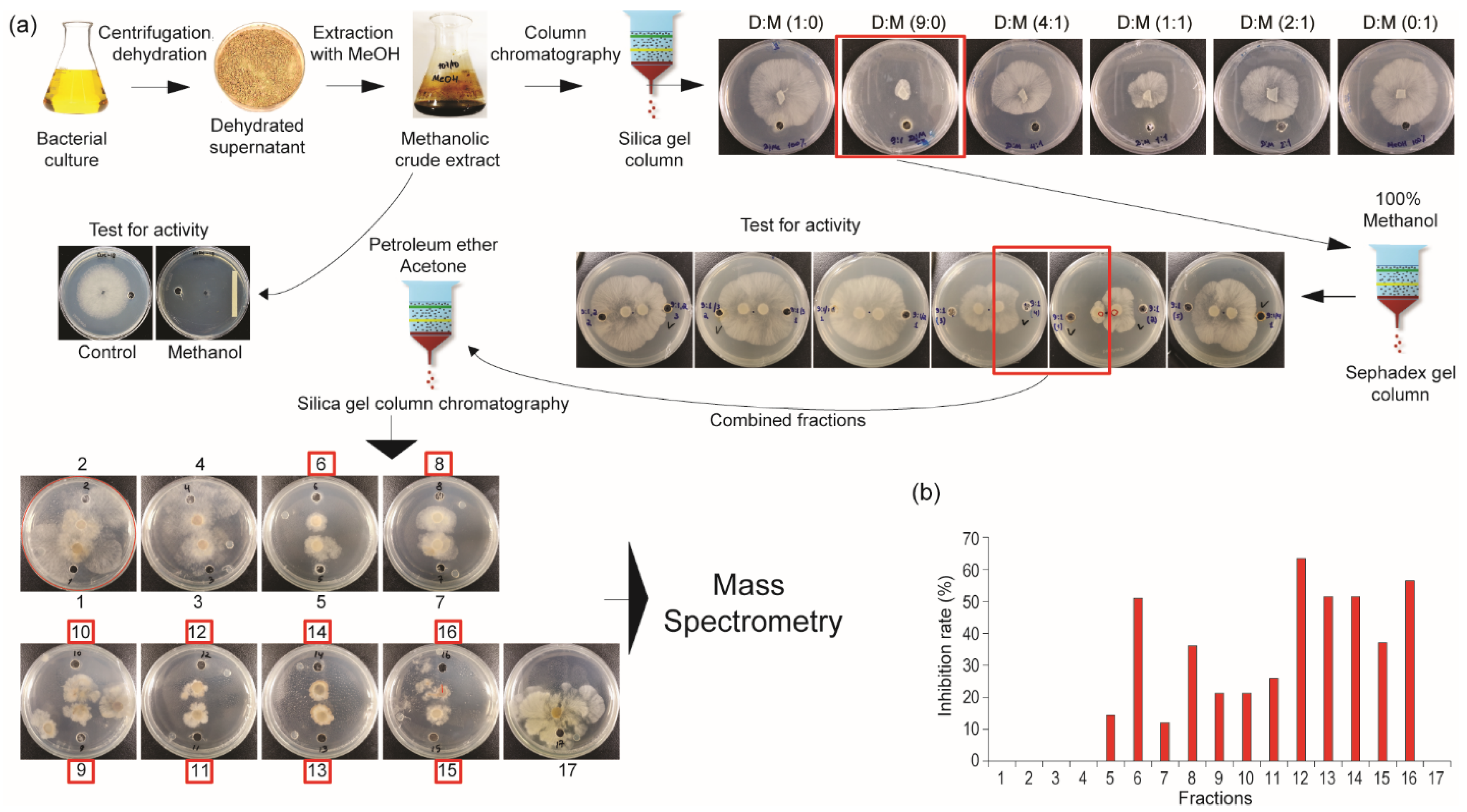Plants 14 02058 g002