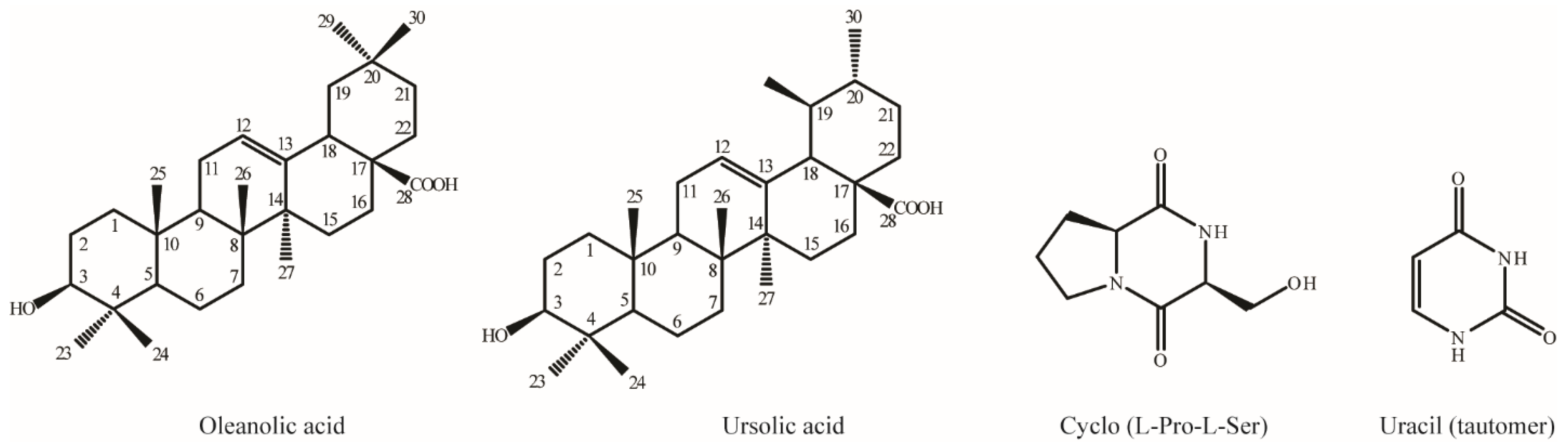 Plants 14 02058 g004