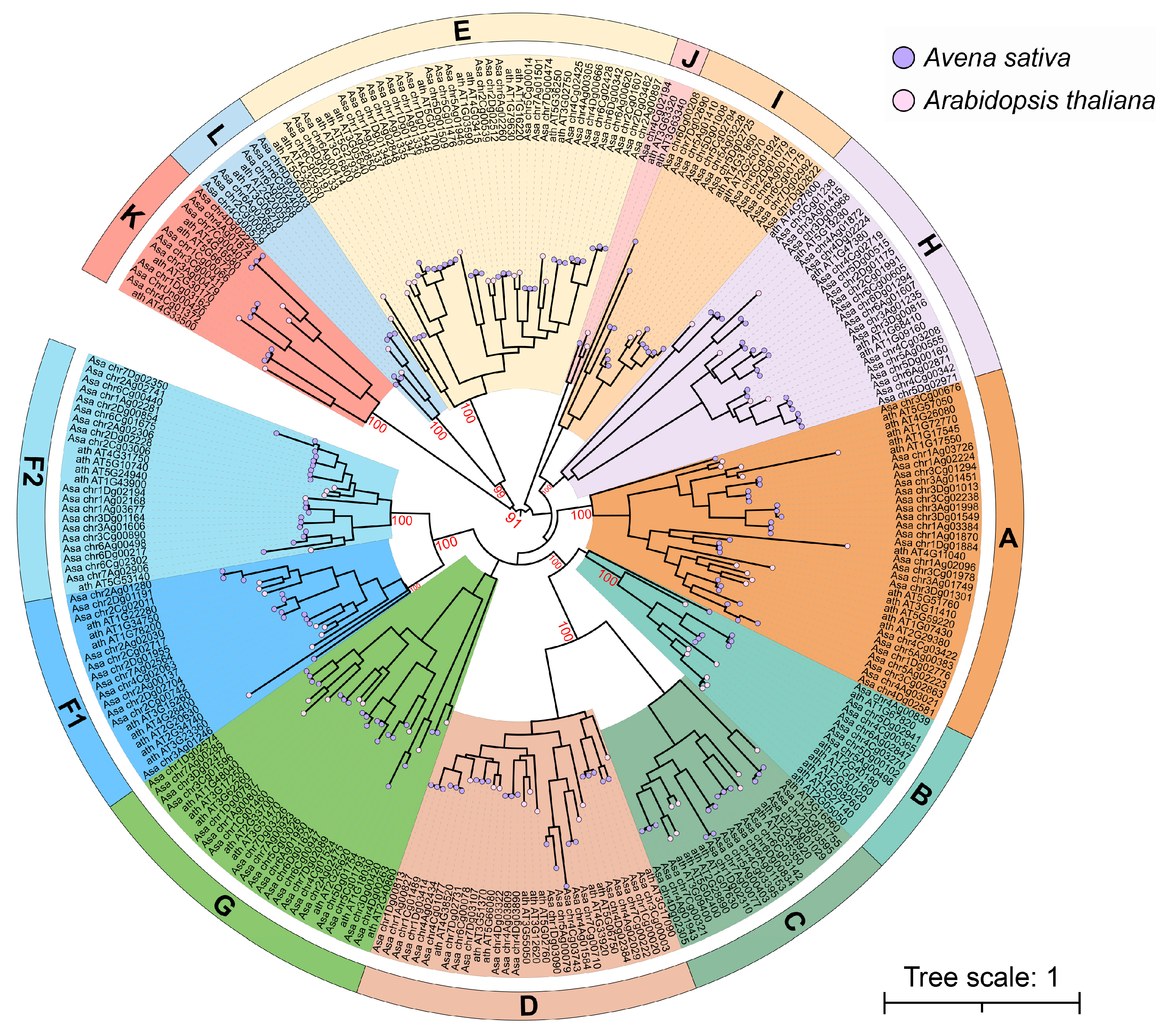 Plants 14 02062 g001