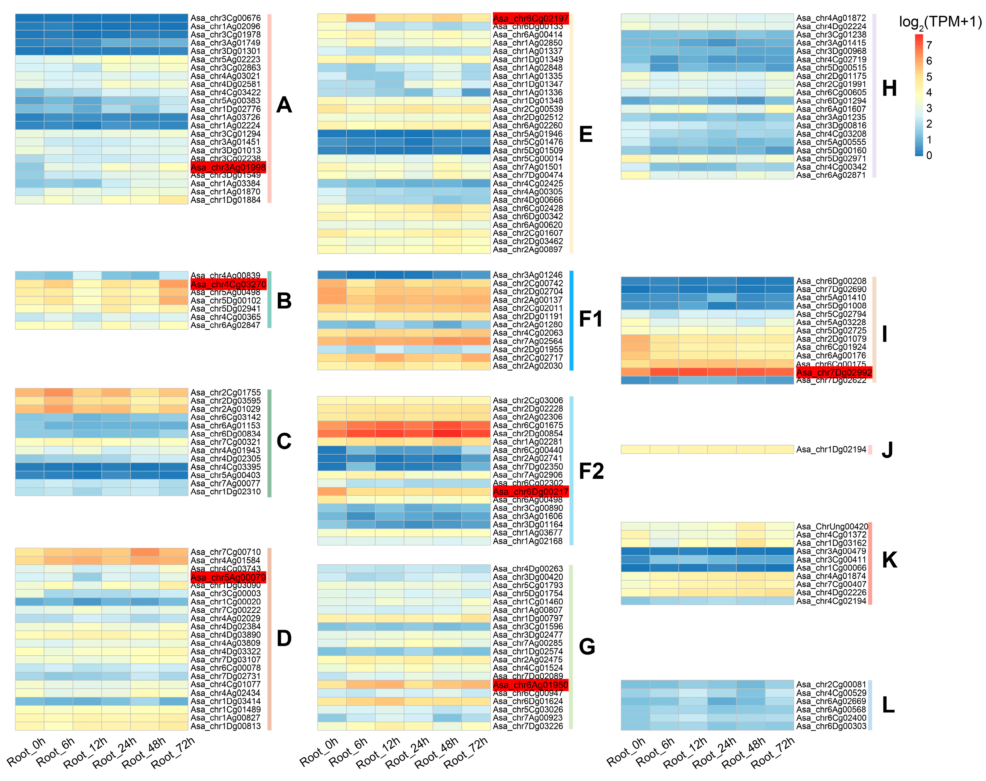 Plants 14 02062 g002