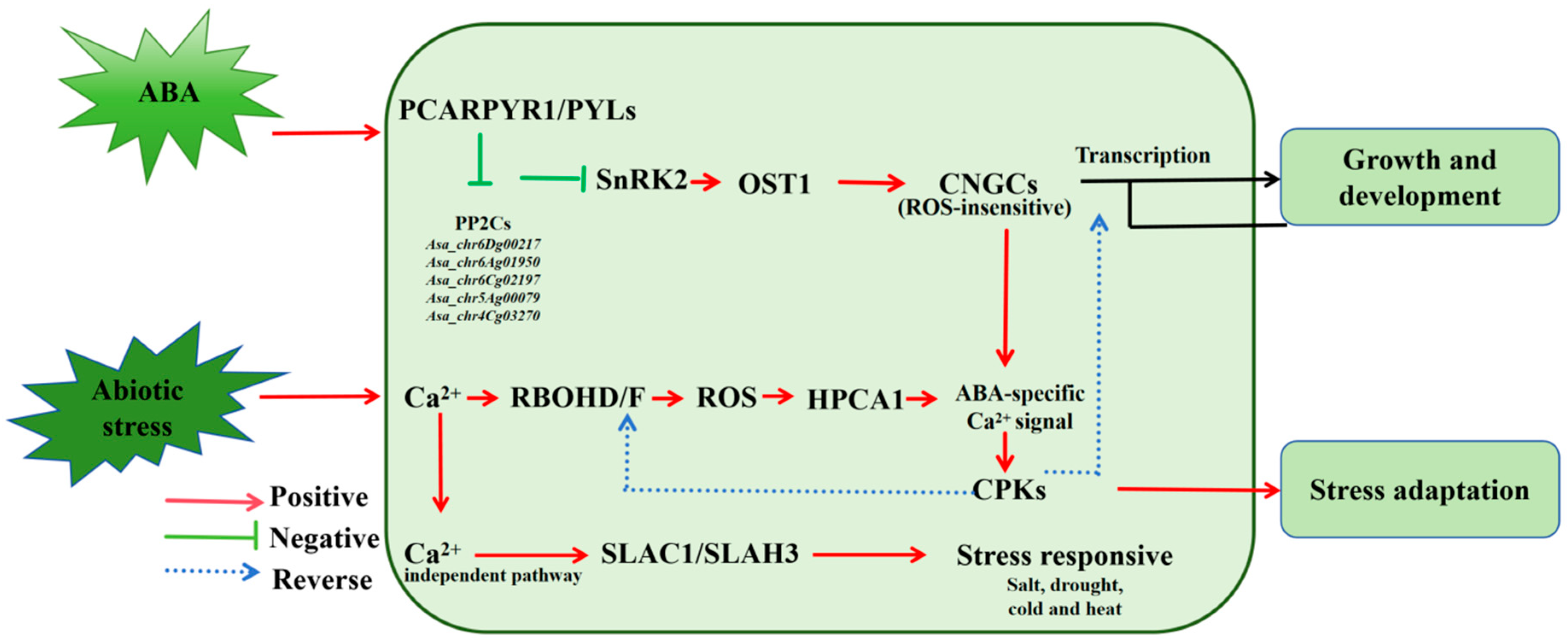 Plants 14 02062 g006