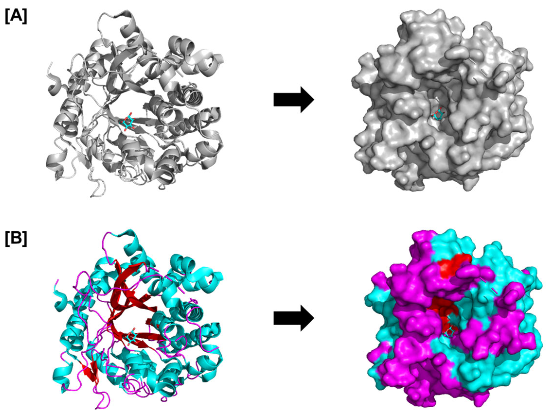 Plants 14 02069 g002