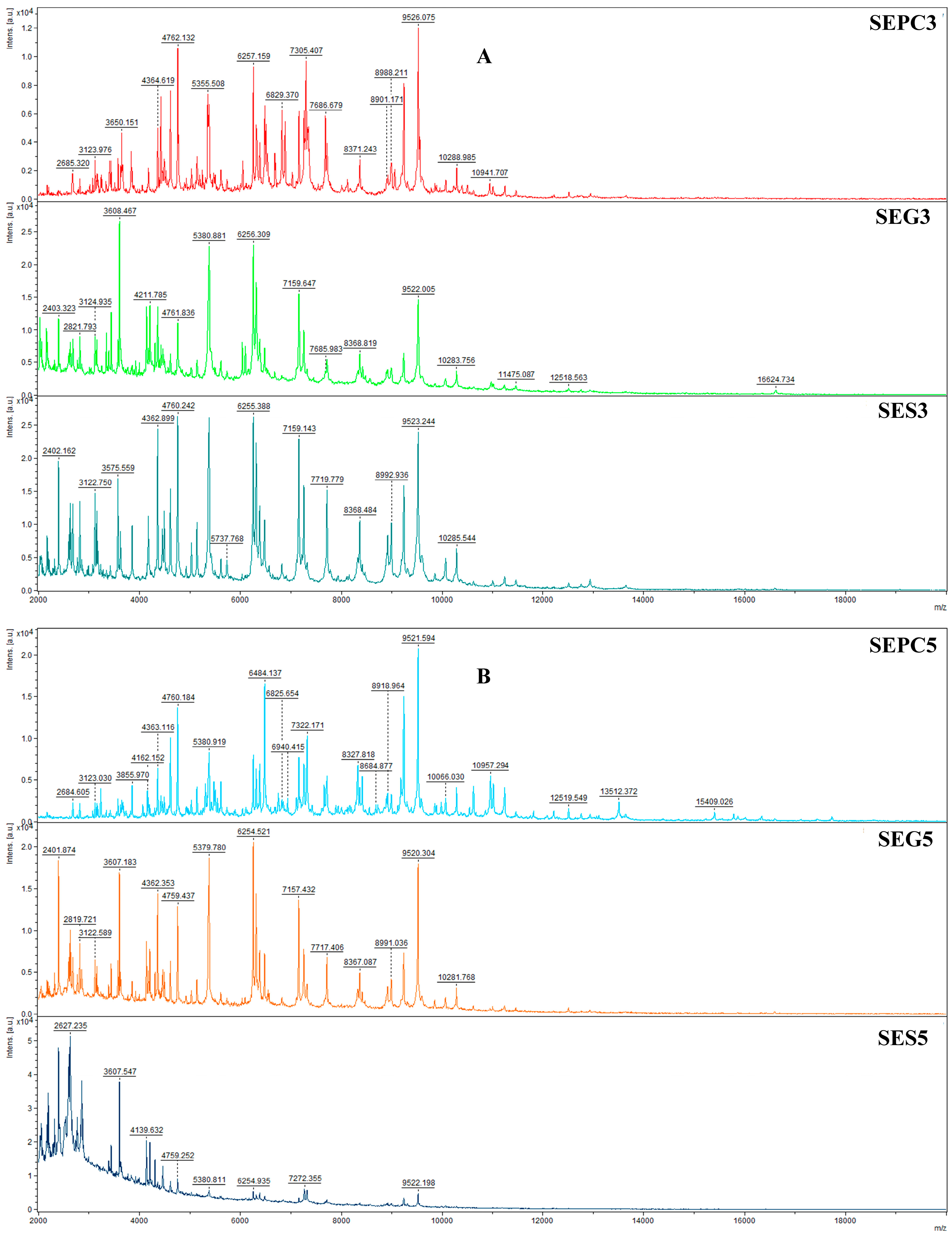 Plants 14 02071 g001a