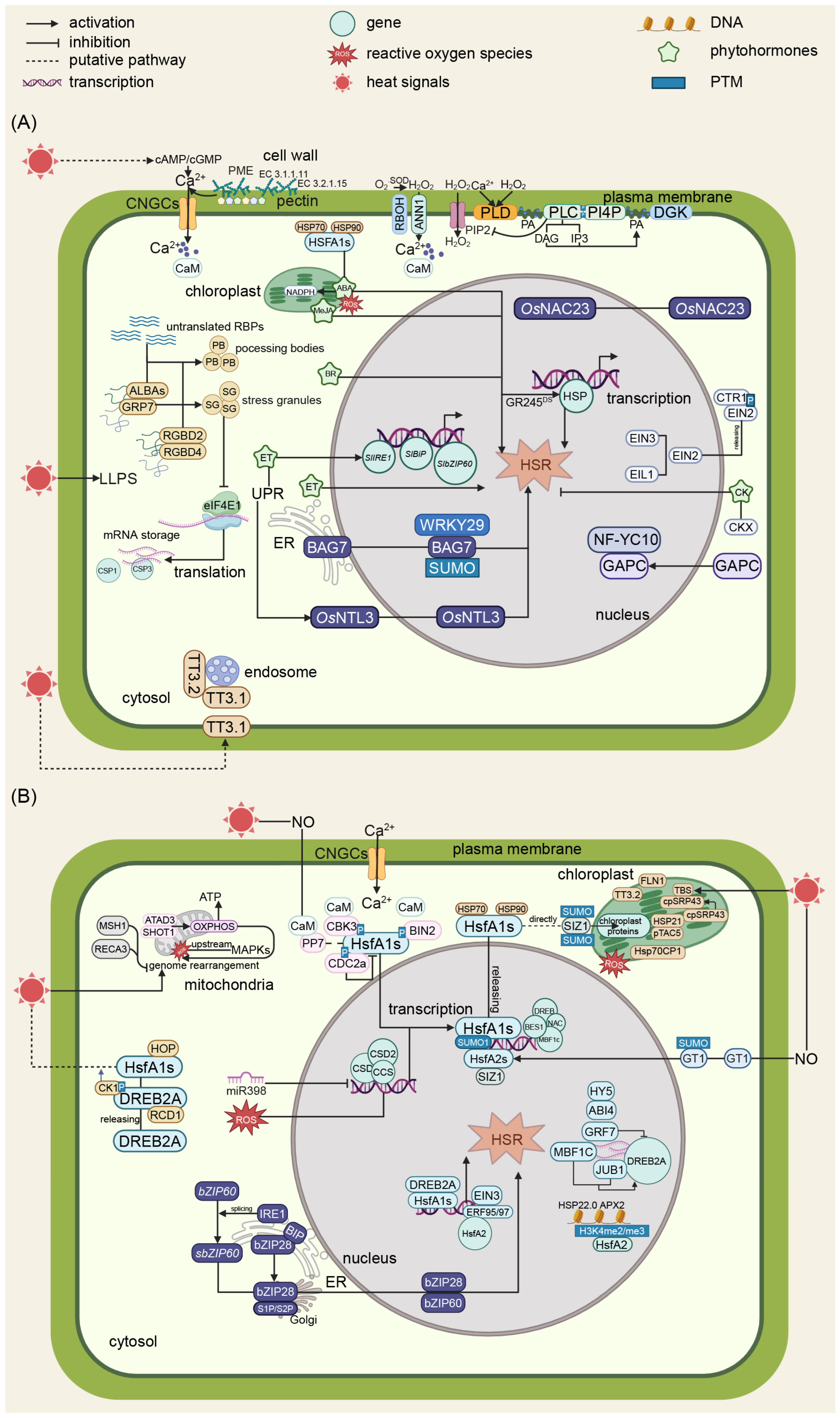Plants 14 02073 g001