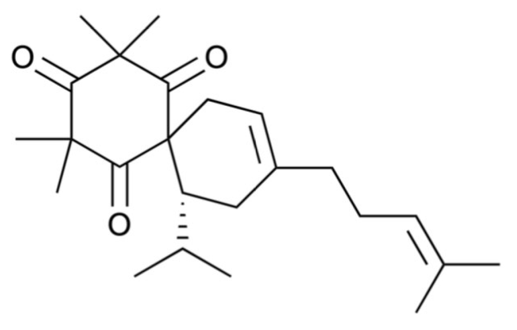 Plants 14 02074 g001