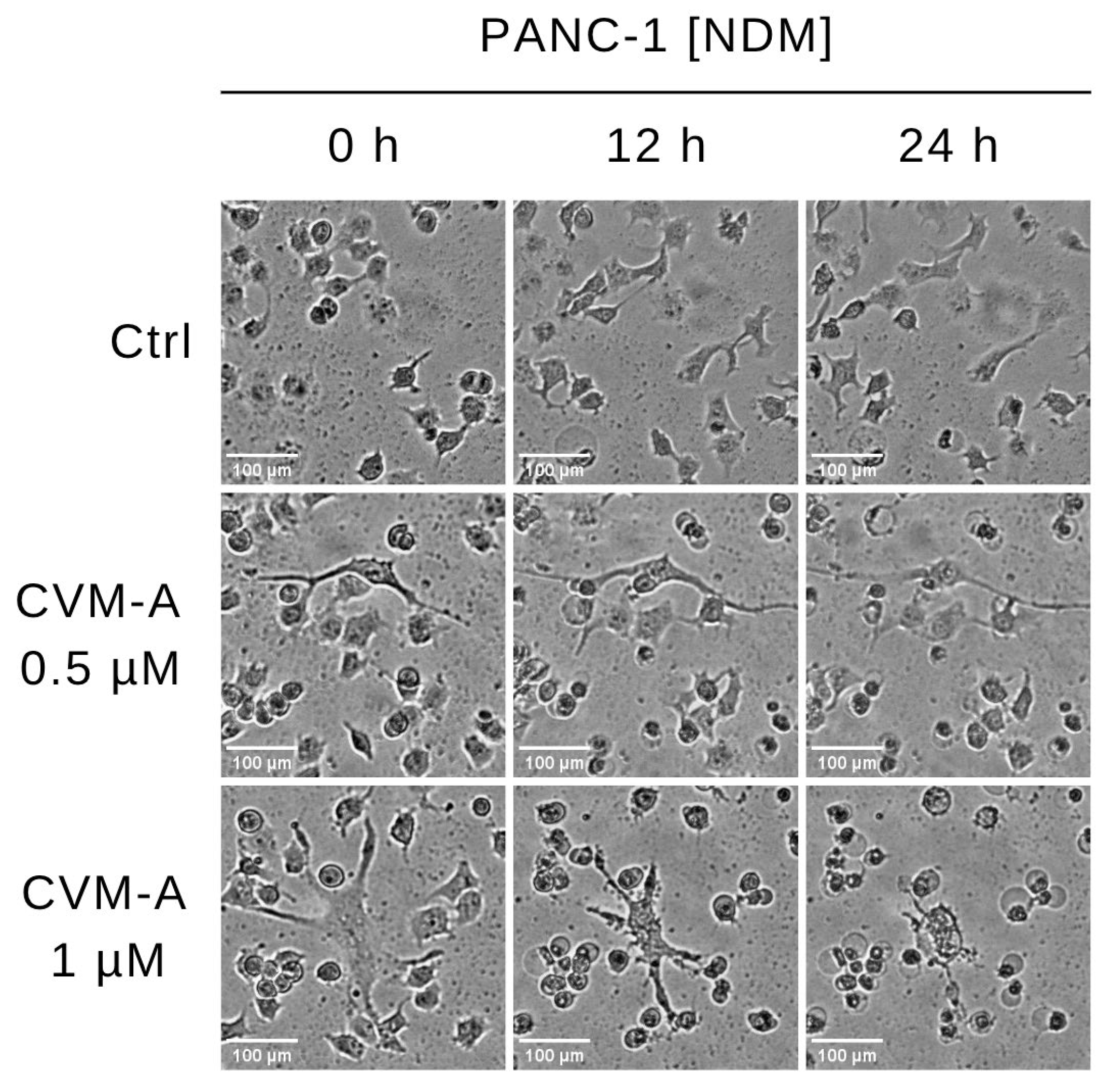Plants 14 02074 g003
