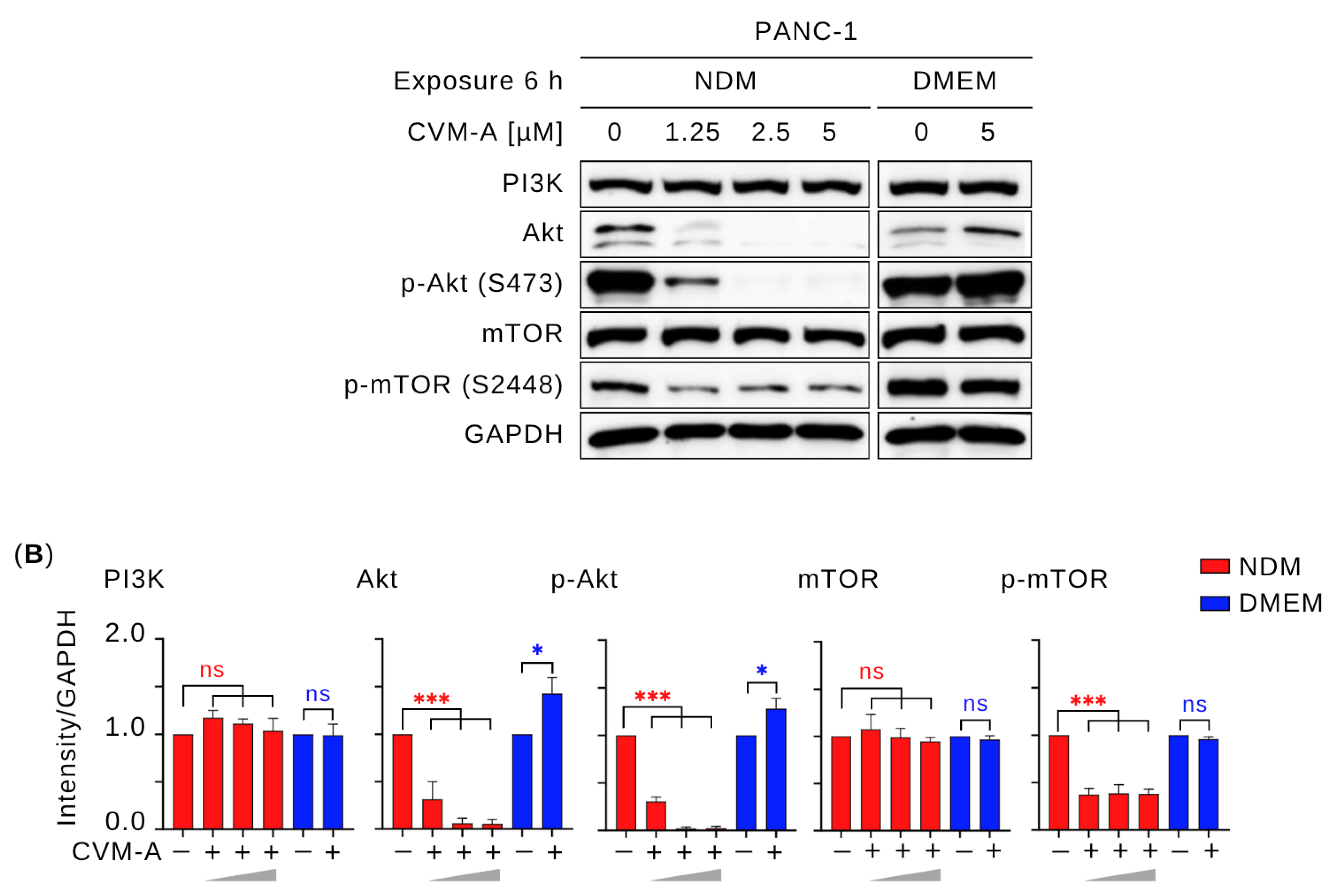 Plants 14 02074 g007