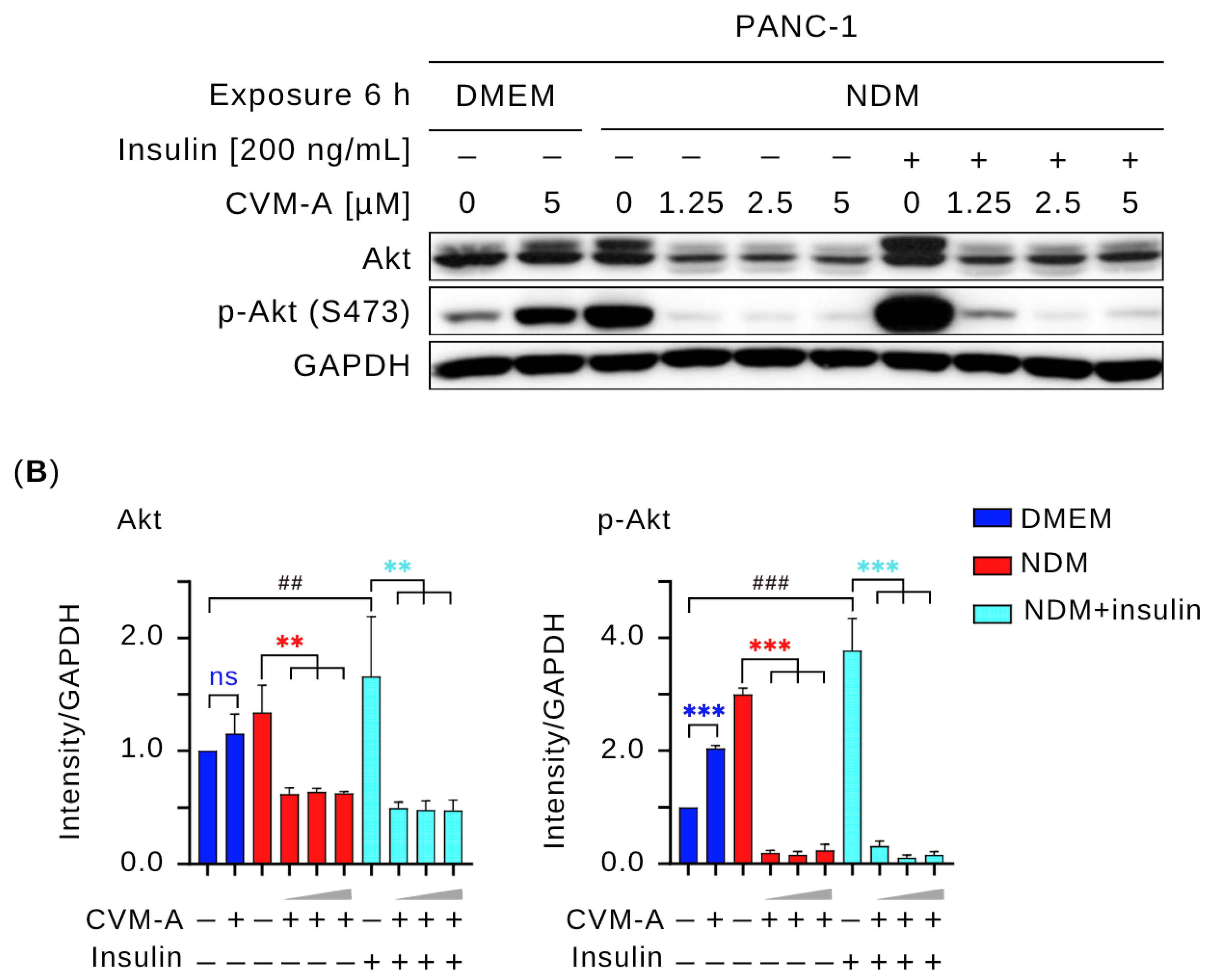 Plants 14 02074 g008