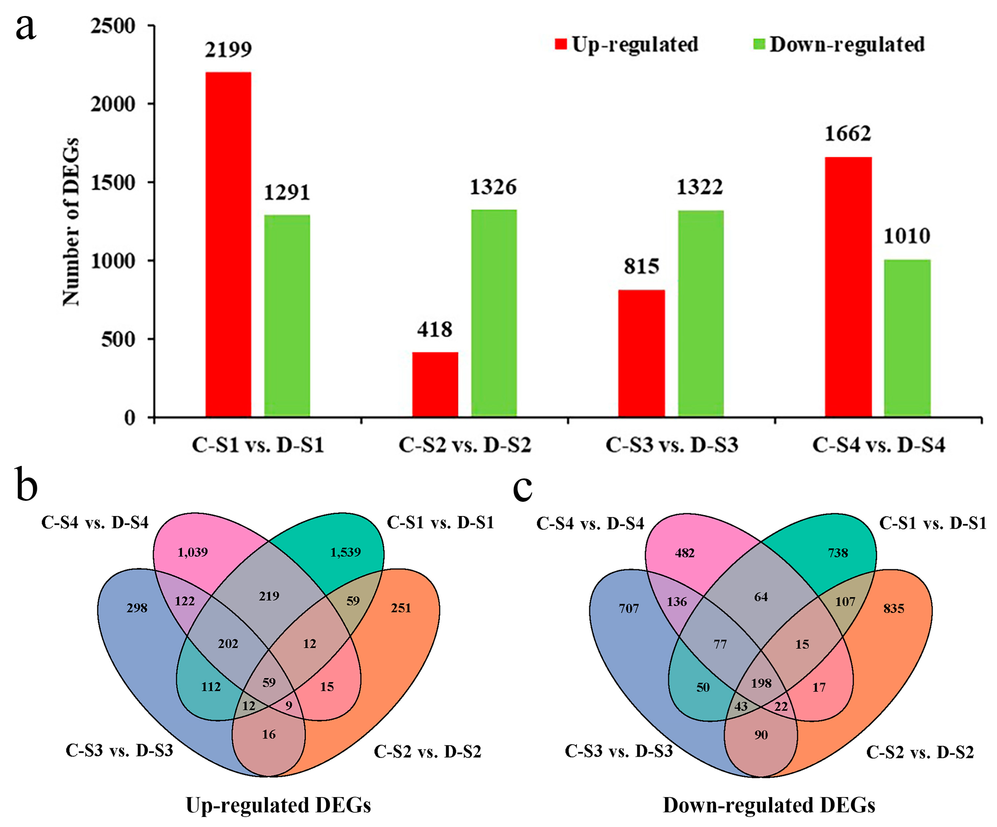 Plants 14 02077 g004