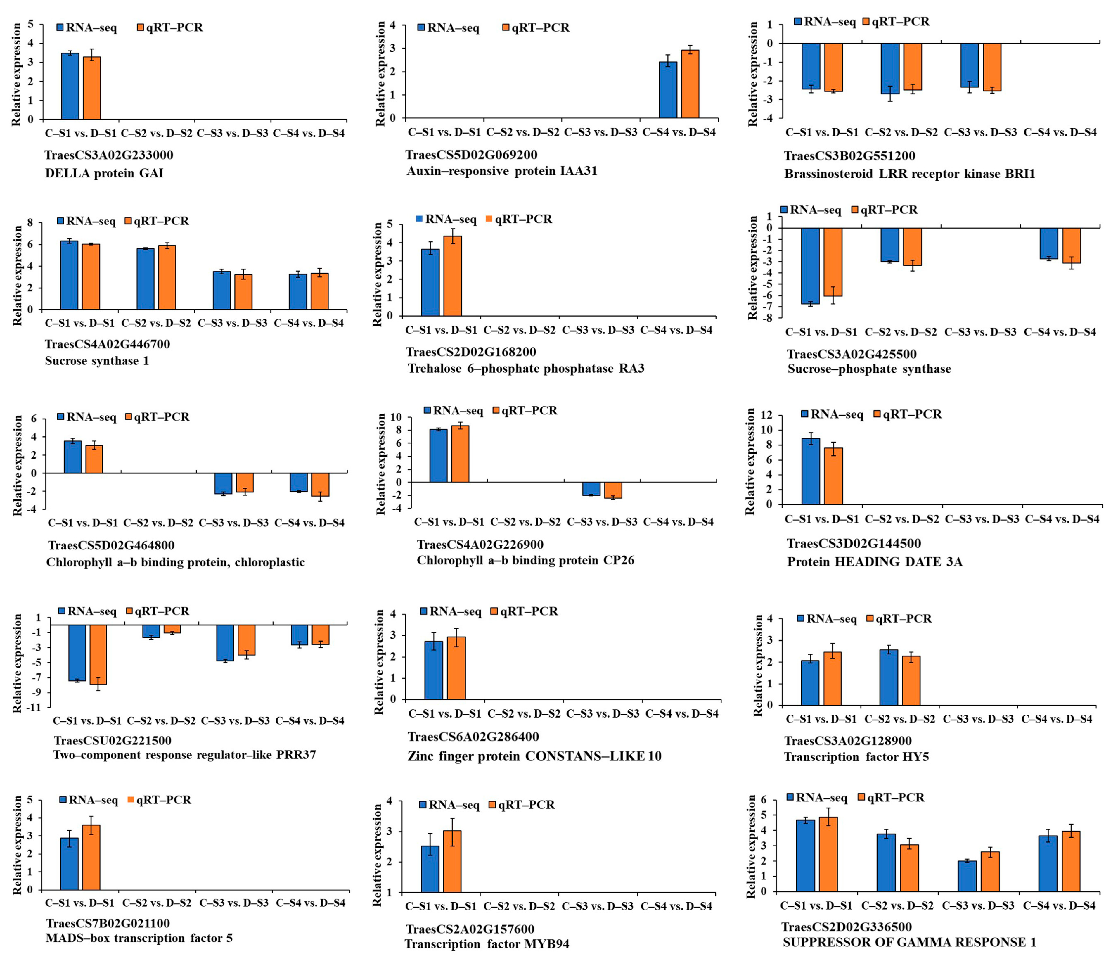 Plants 14 02077 g007
