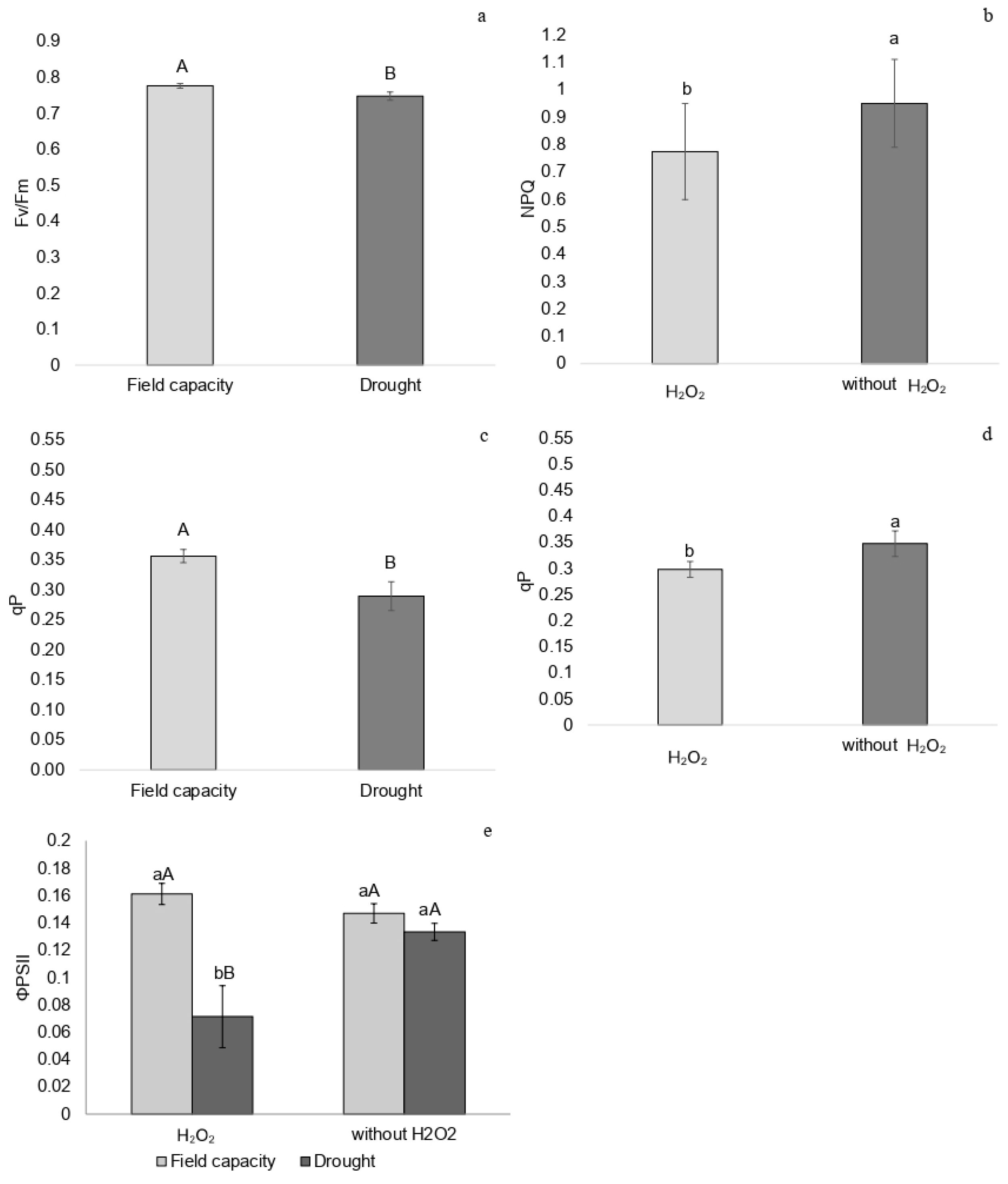 Plants 14 02078 g001