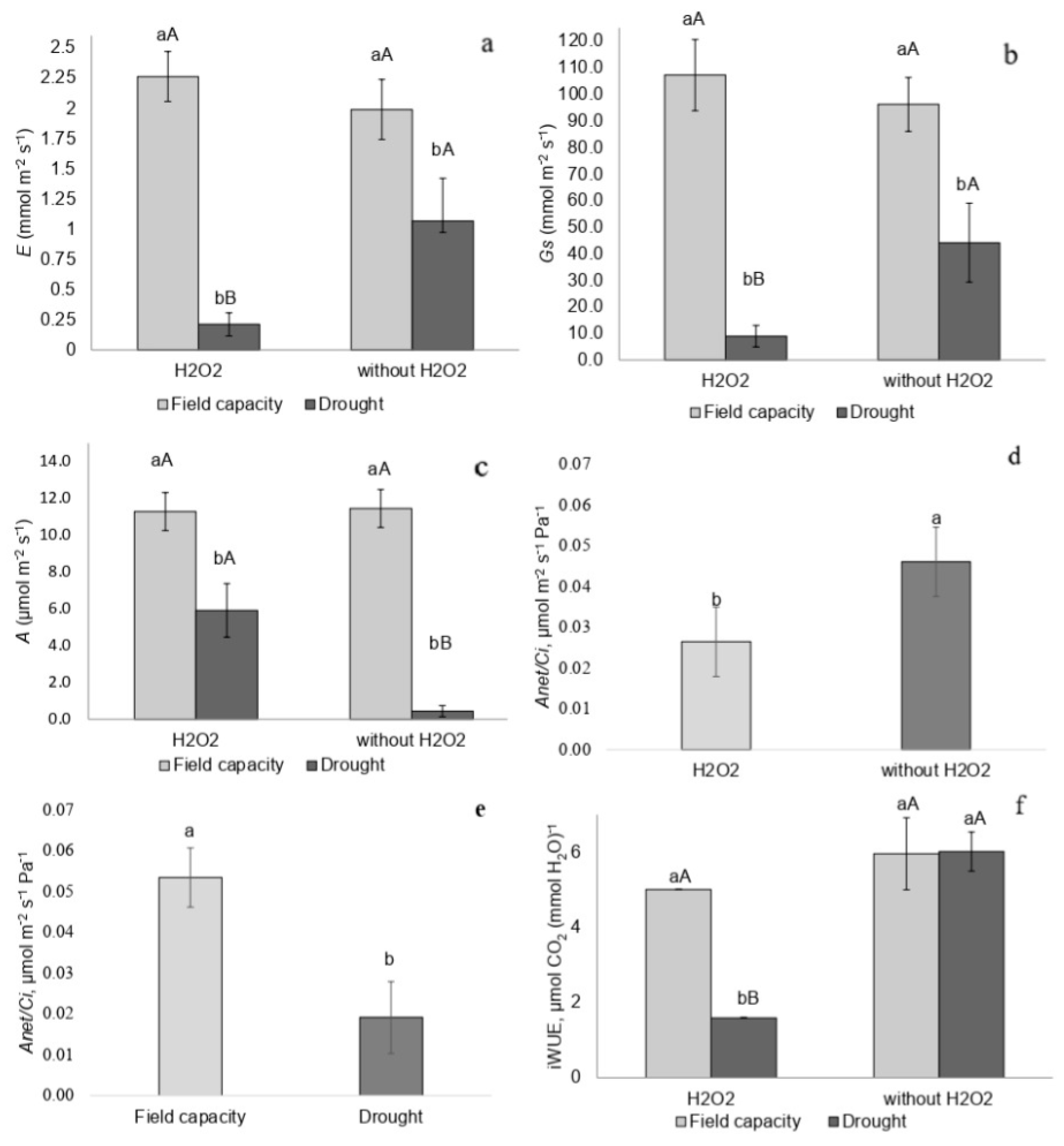 Plants 14 02078 g003