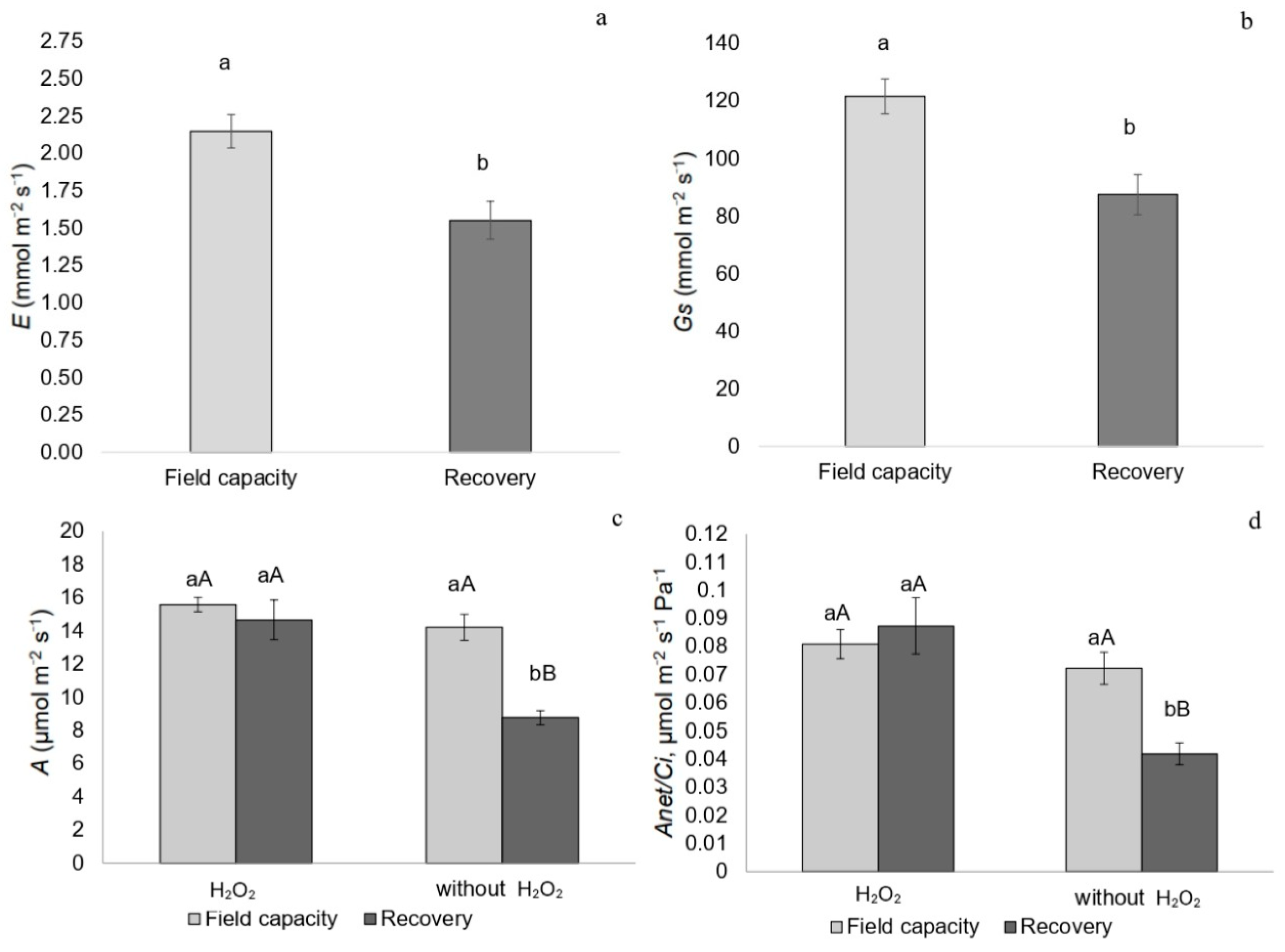 Plants 14 02078 g004