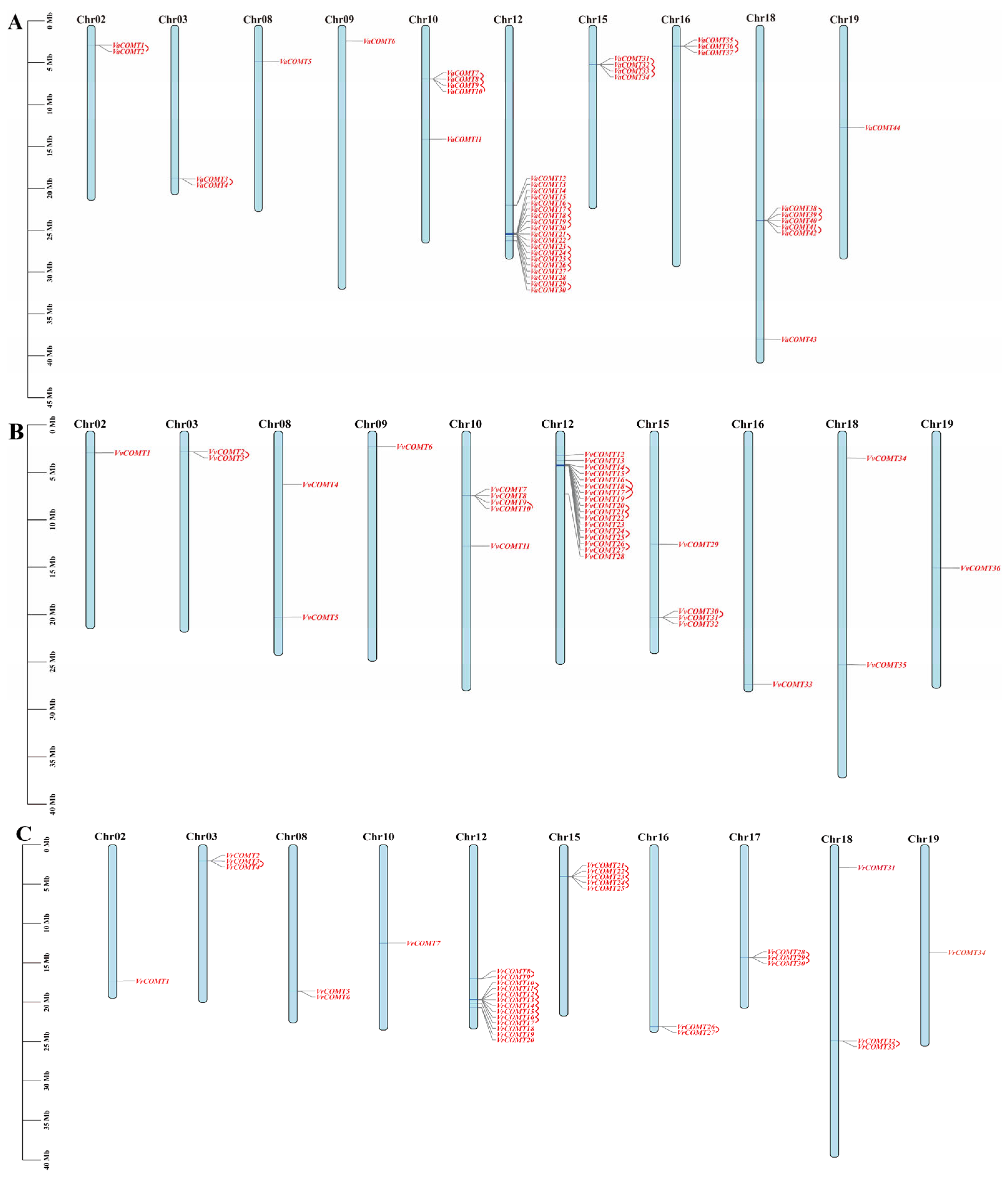 Plants 14 02079 g002