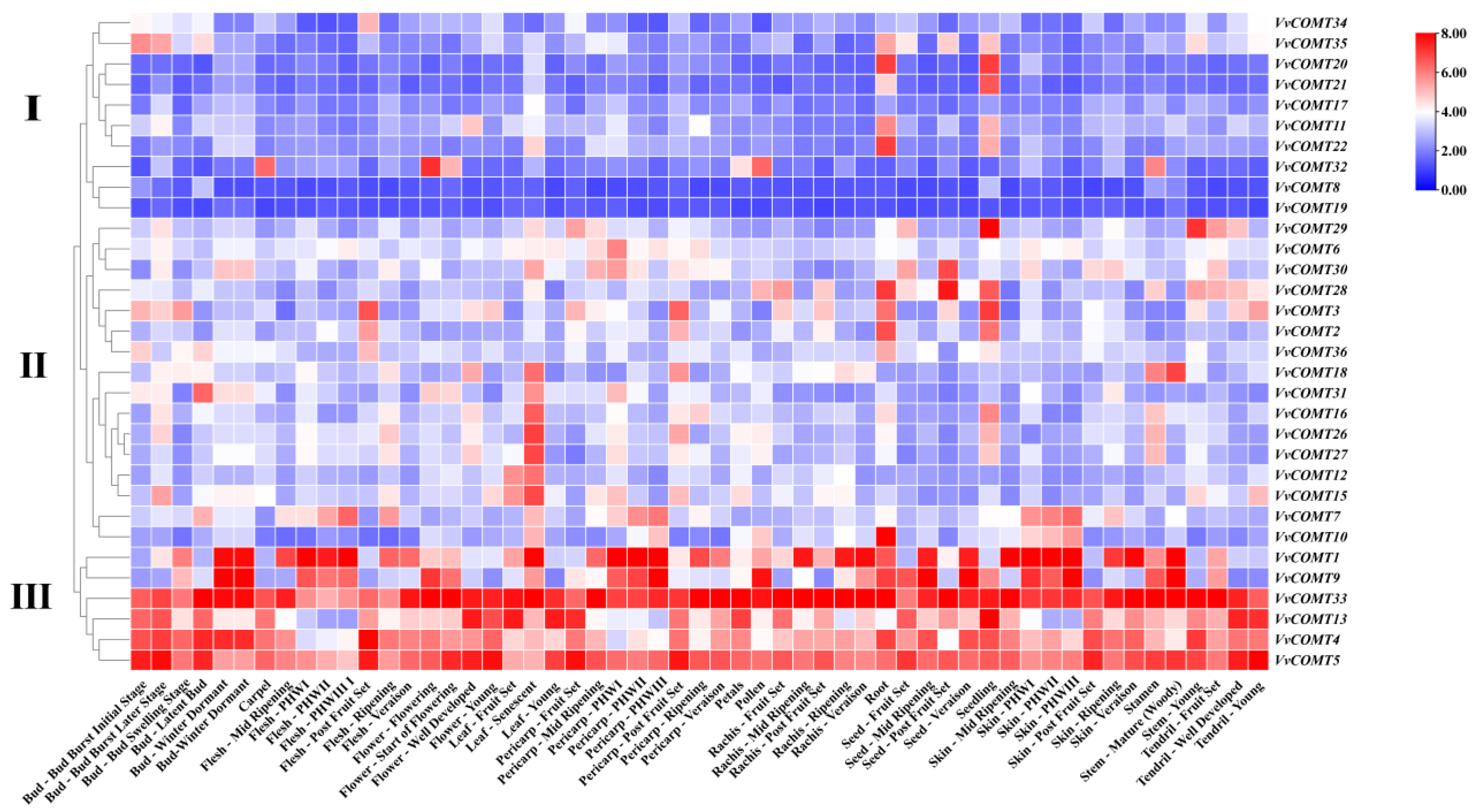 Plants 14 02079 g007
