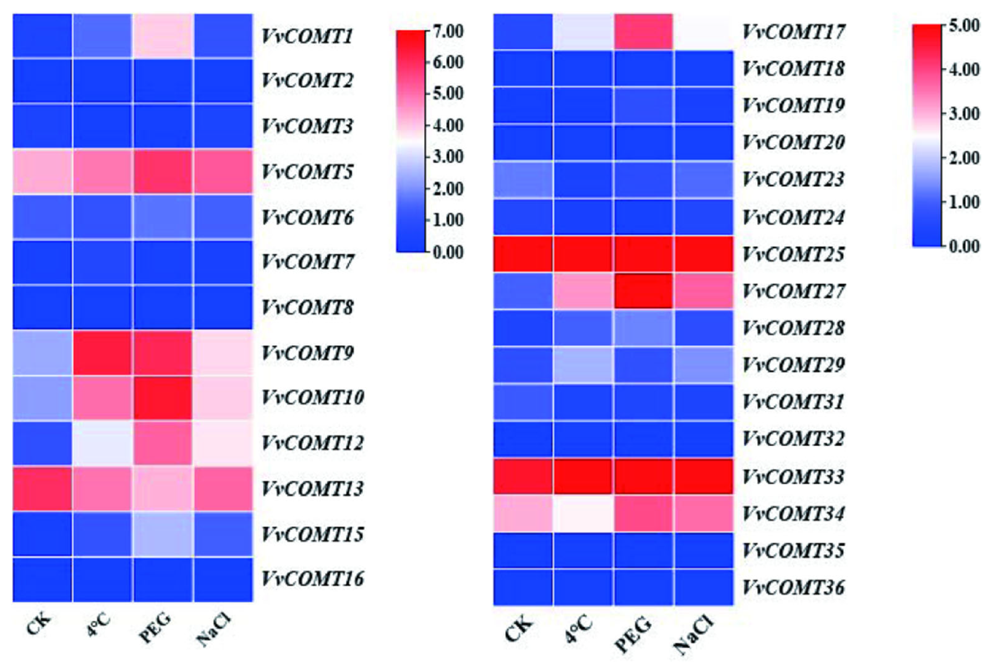 Plants 14 02079 g008