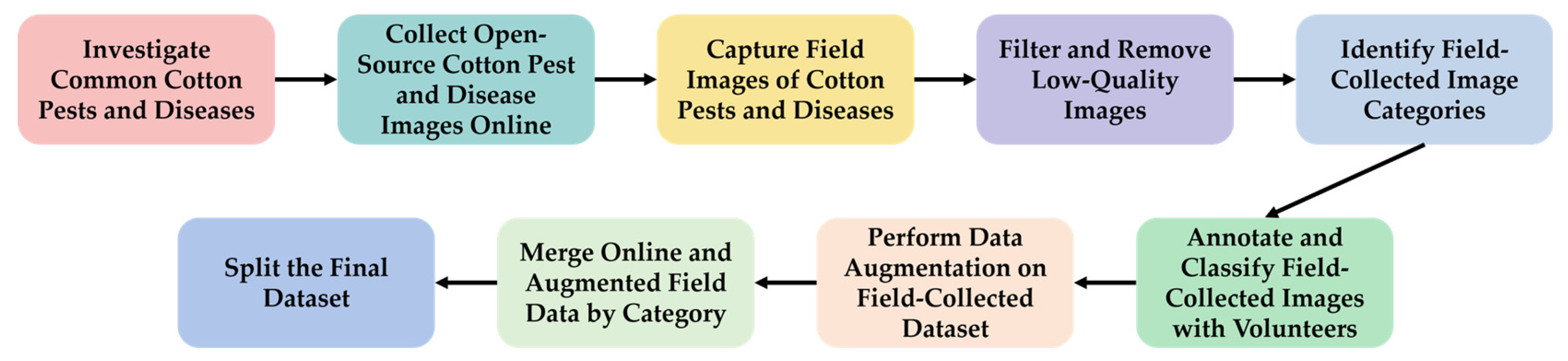 Plants 14 02082 g002
