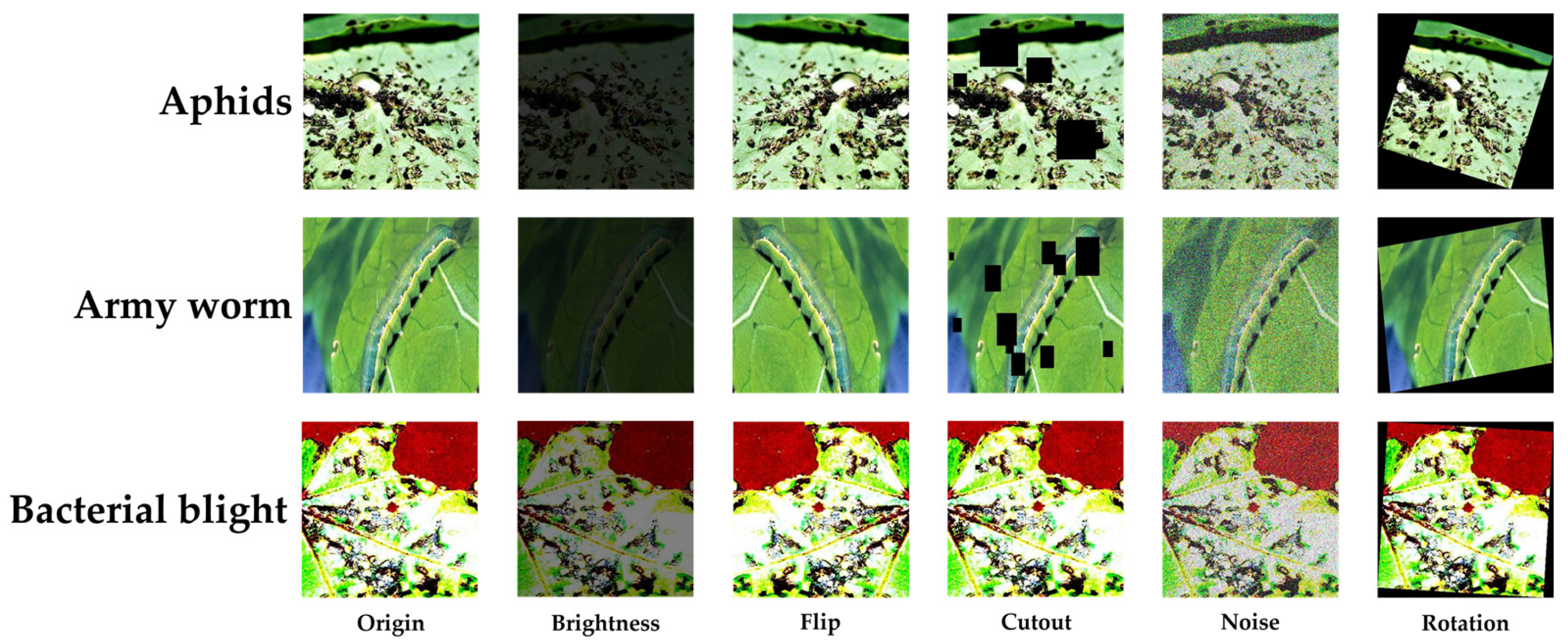 Plants 14 02082 g005