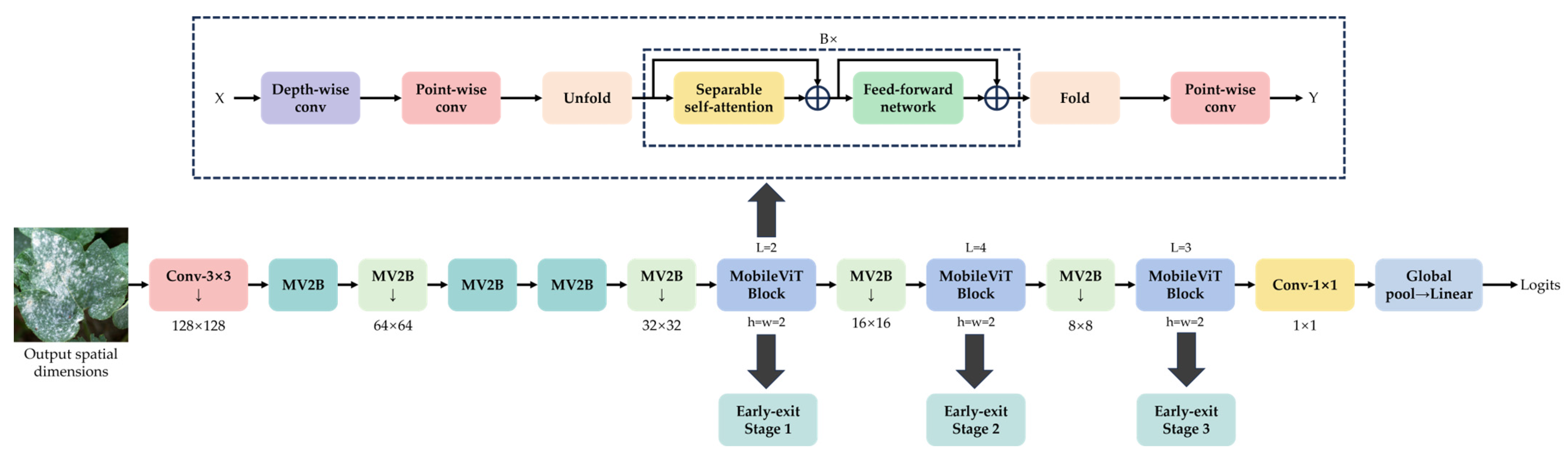 Plants 14 02082 g007