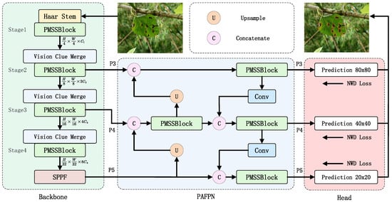 Plants 14 02084 g005