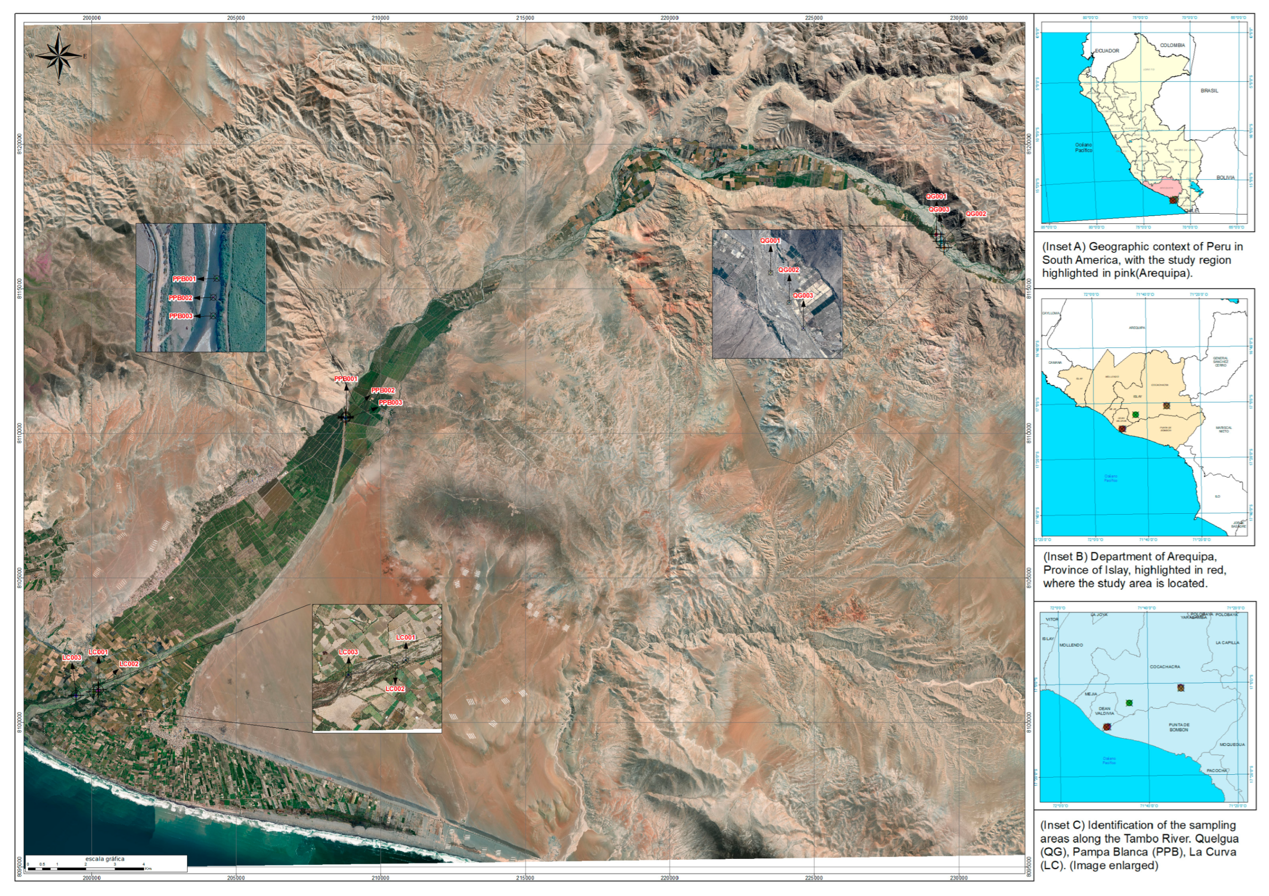 Plants 14 02173 g001 Plants 14 02173 g001