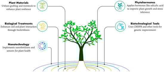 Plants 14 02192 g003