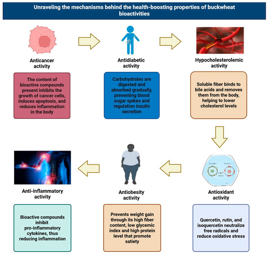 Plants 14 02200 g002