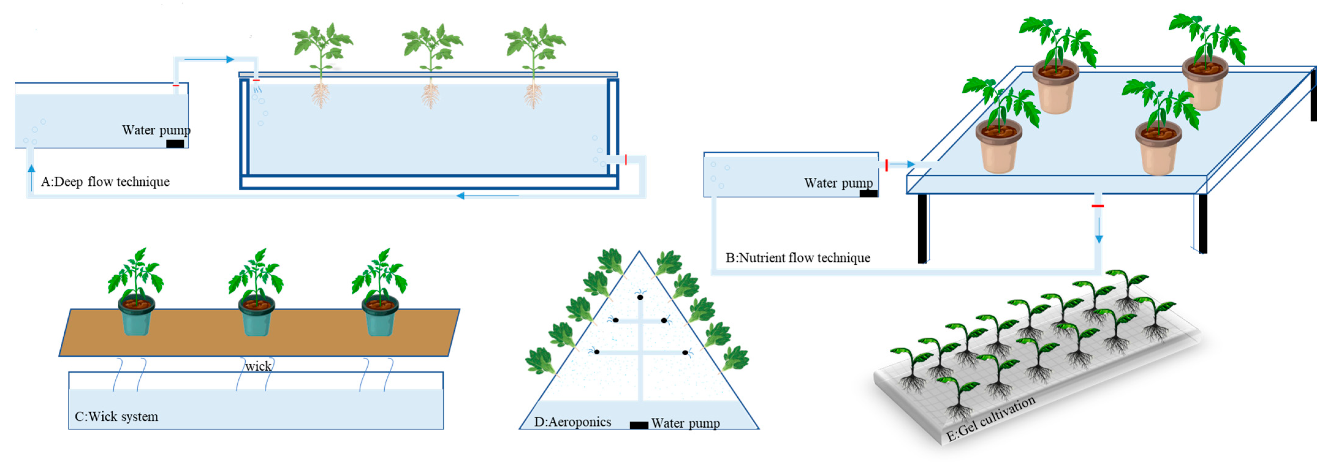 Plants 14 02203 g002
