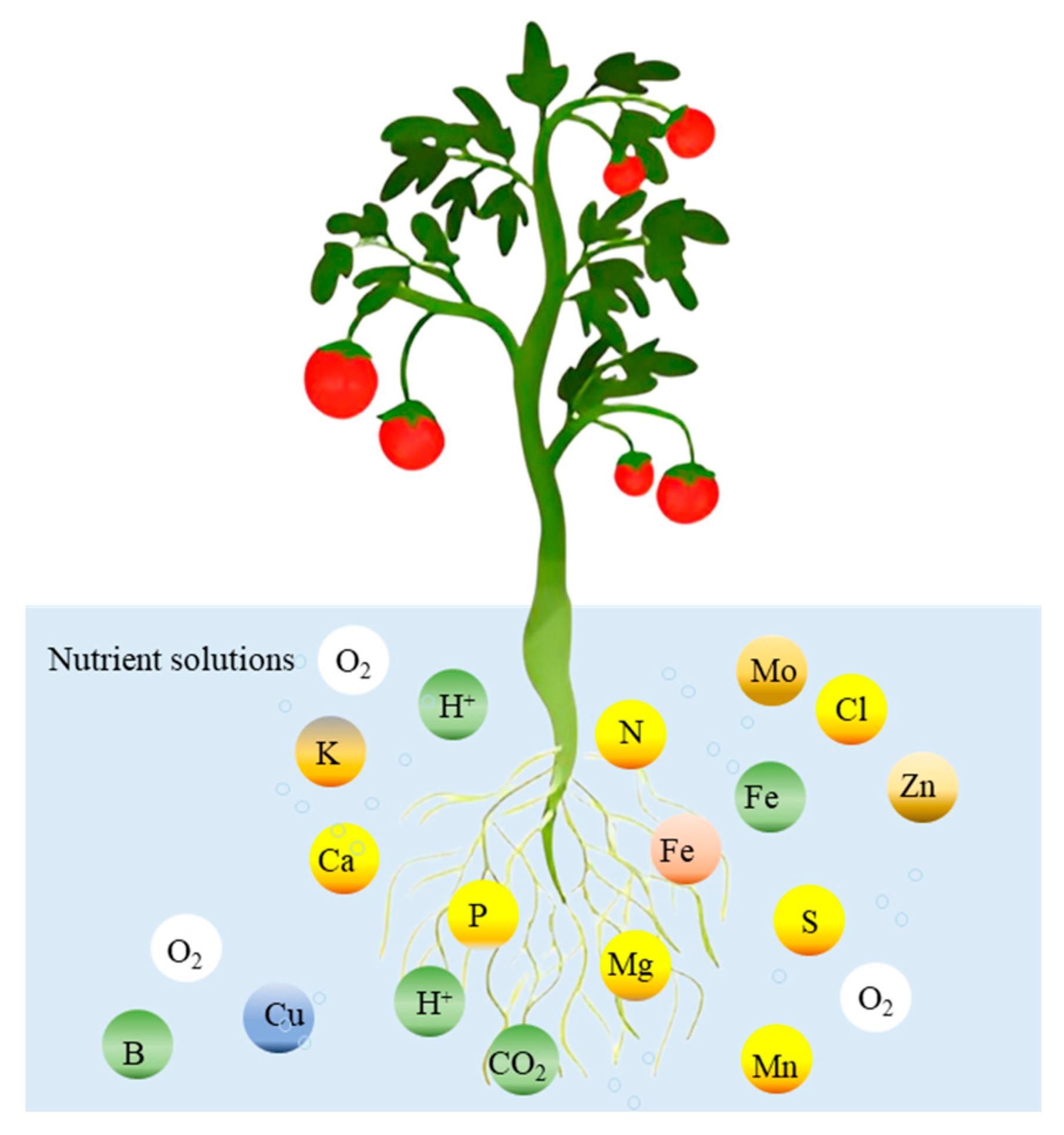 Plants 14 02203 g003