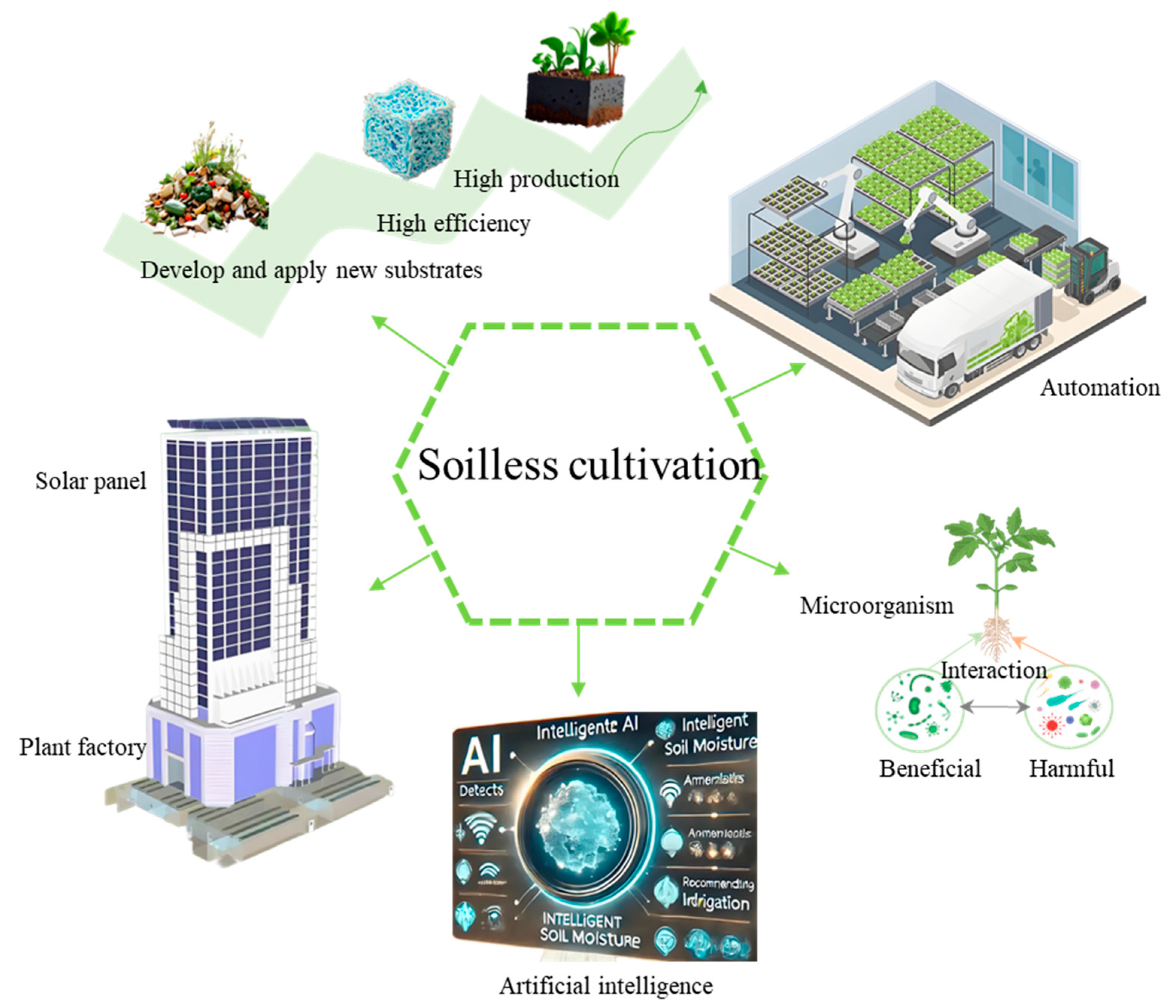 Plants 14 02203 g005