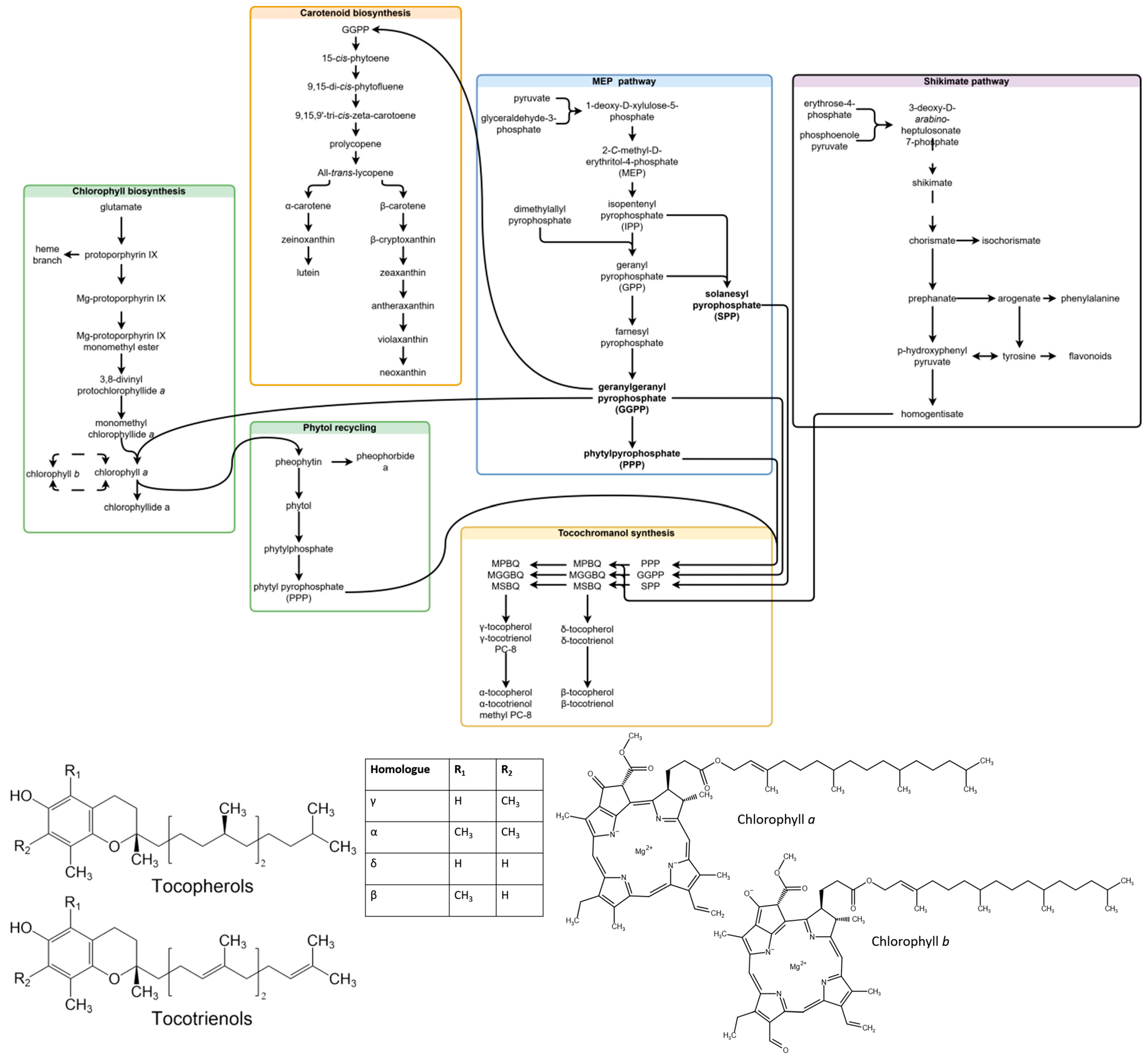 Plants 14 02239 g001a