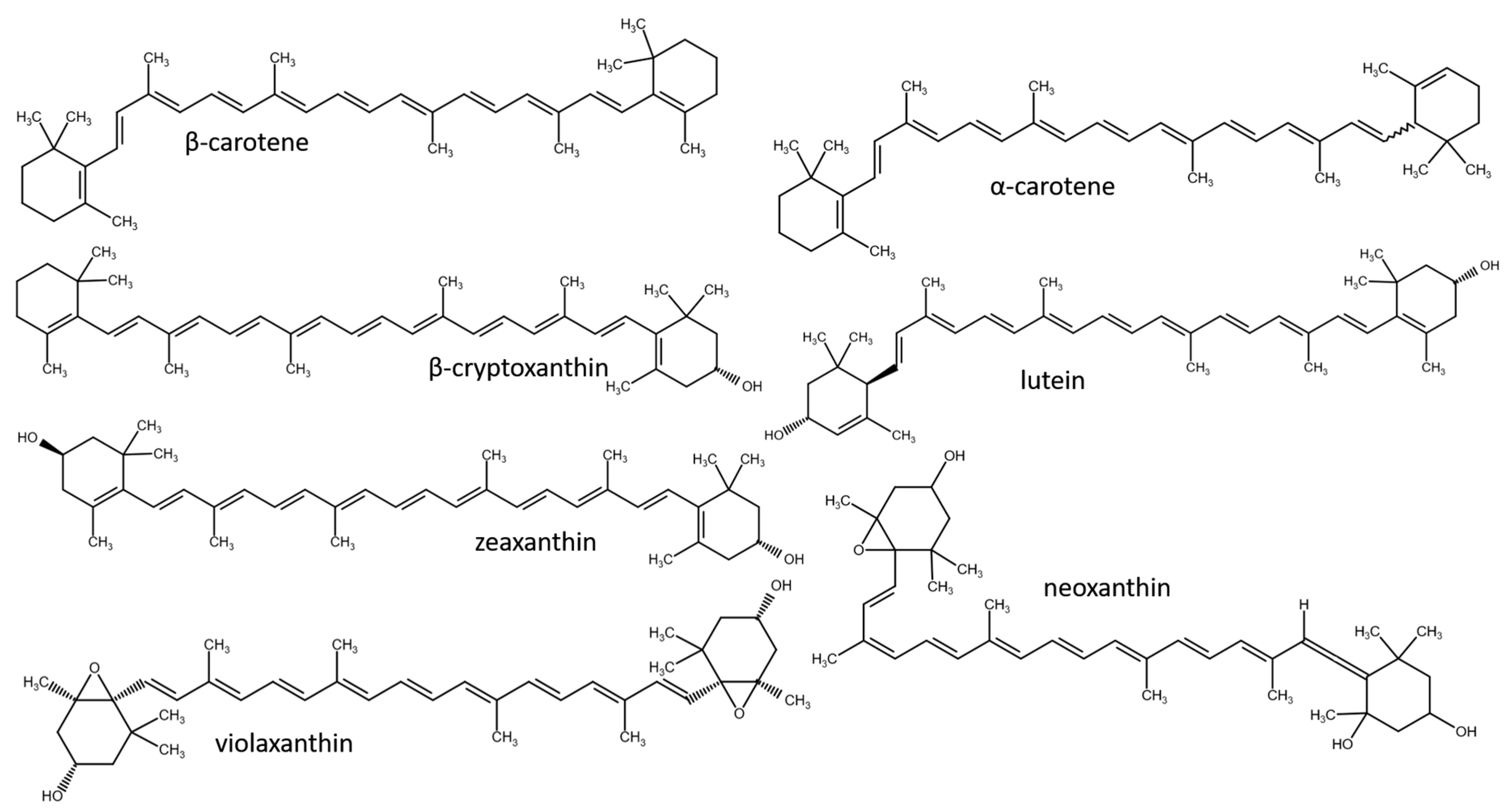 Plants 14 02239 g001b