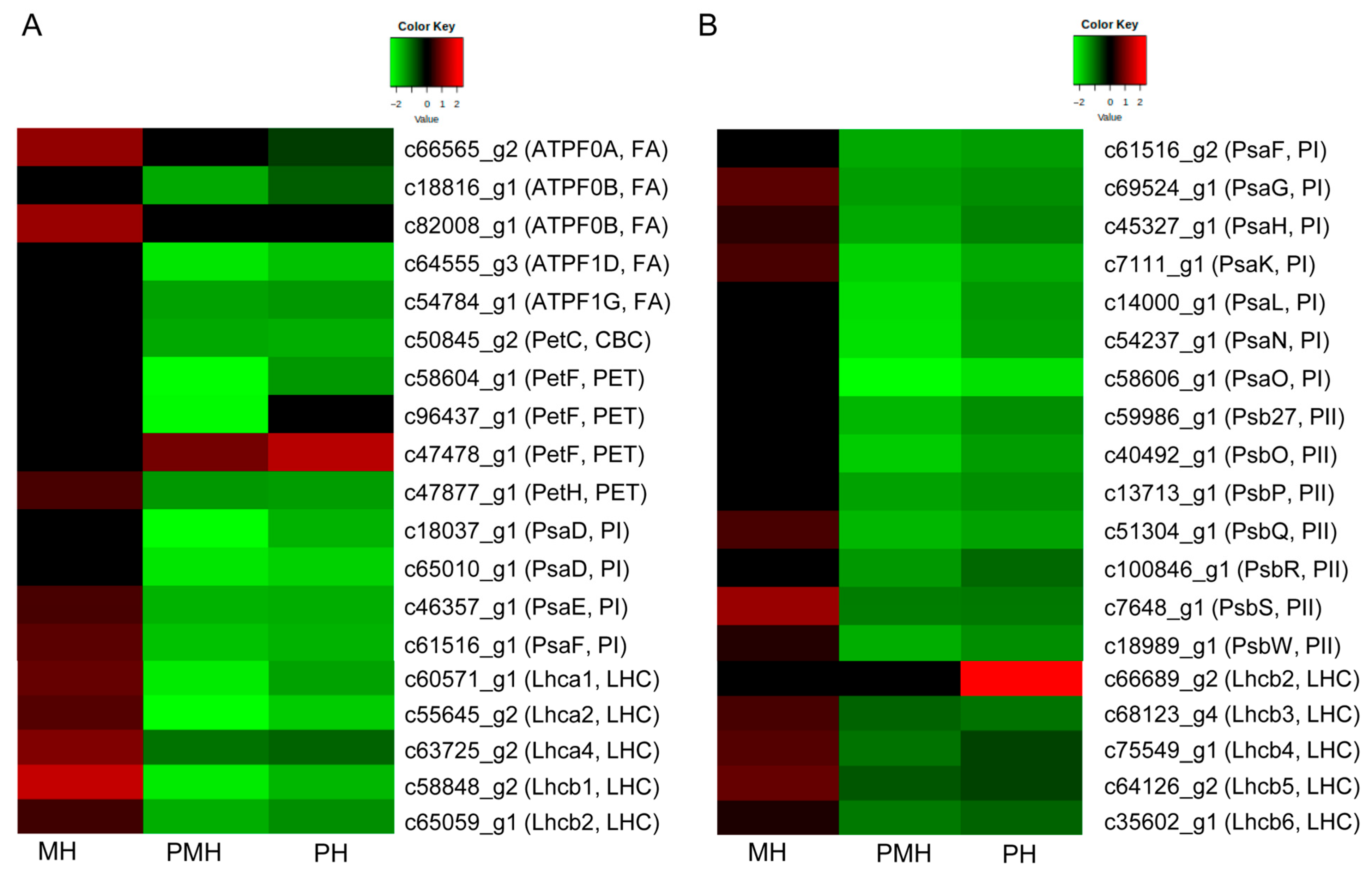 Plants 14 02243 g005