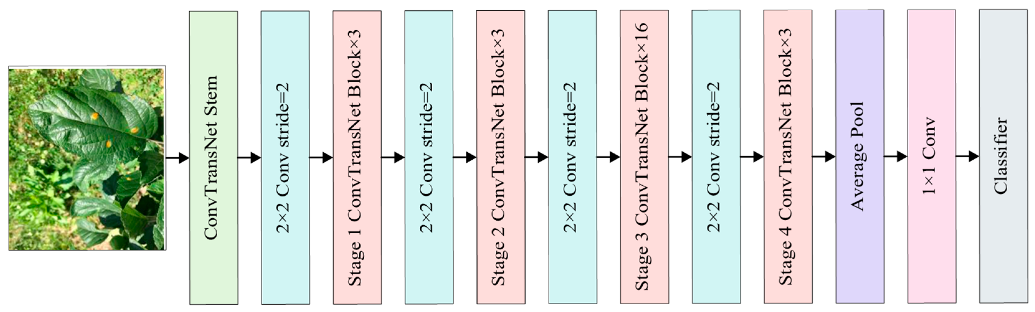 Plants 14 02252 g002