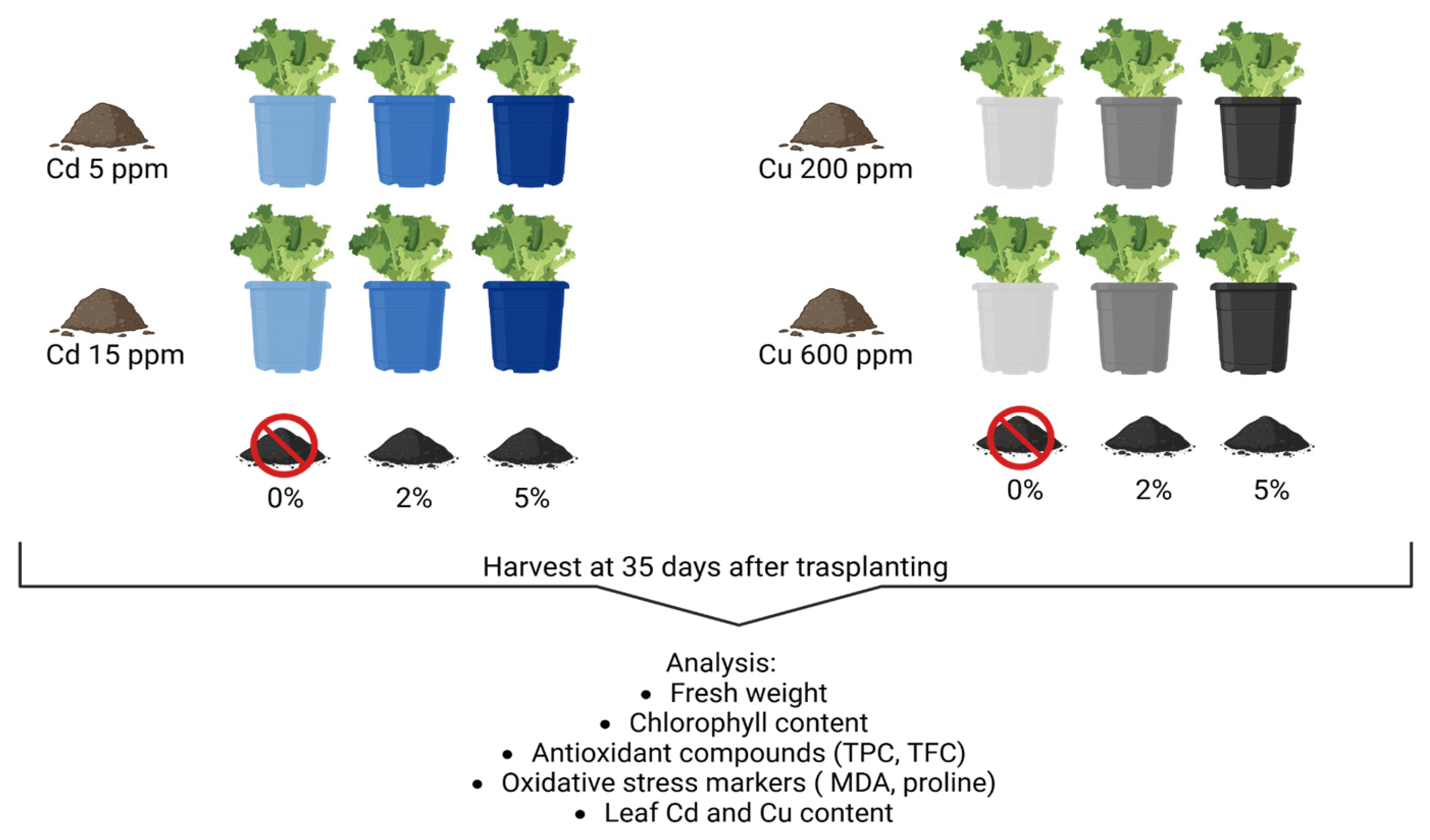 Plants 14 02255 g006 Plants 14 02255 g006