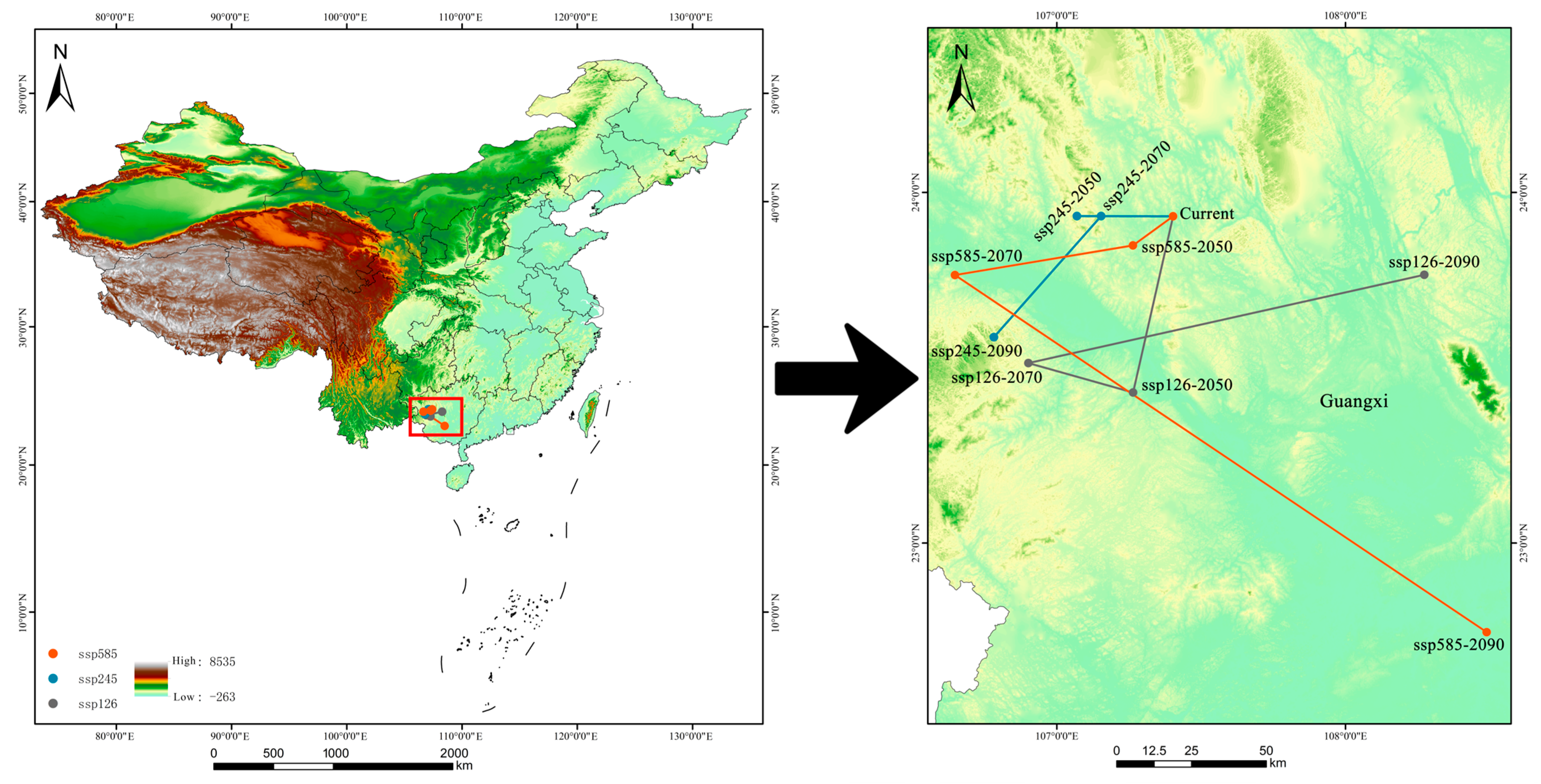 Plants 14 02268 g008