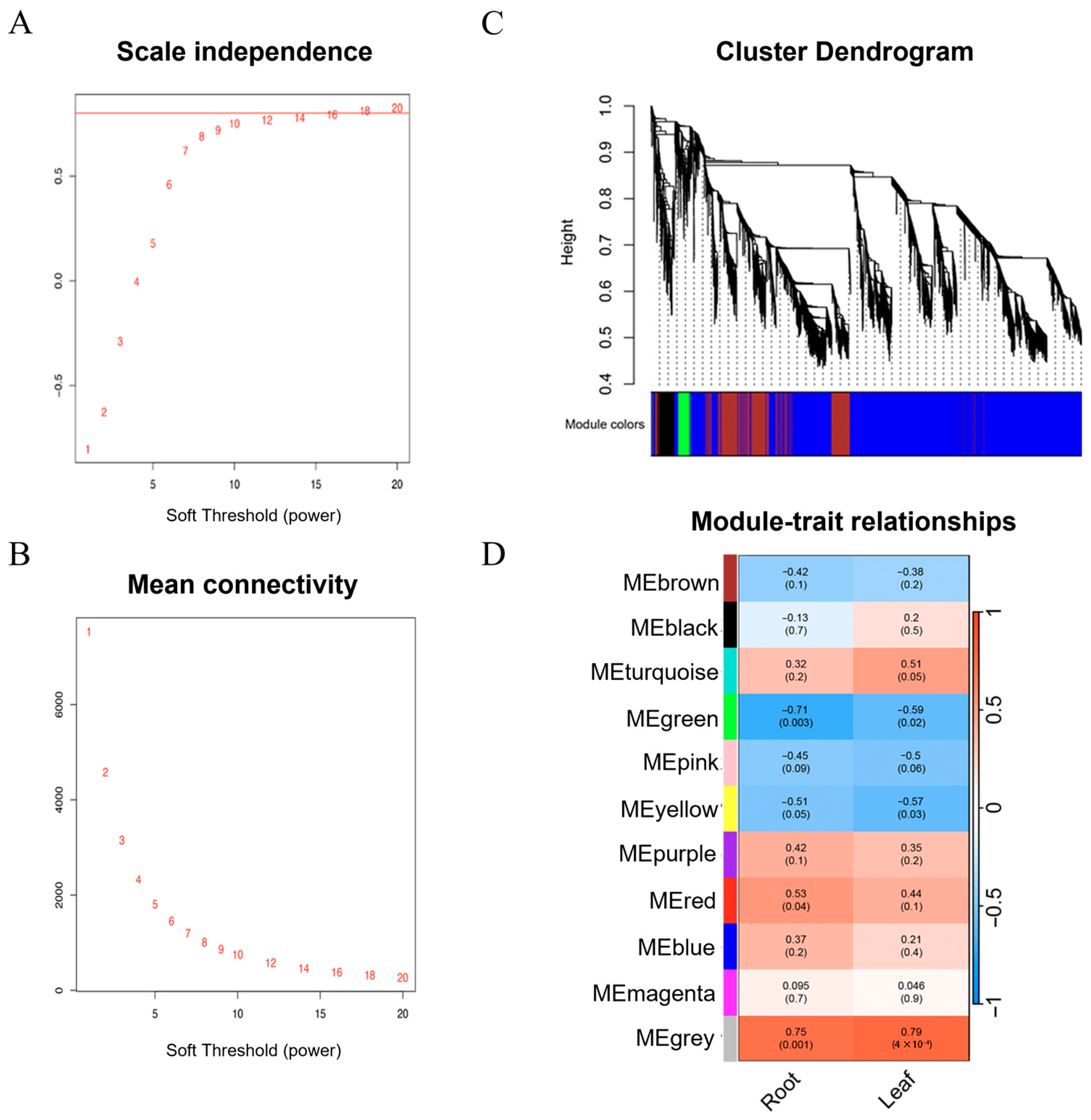 Plants 14 02277 g004