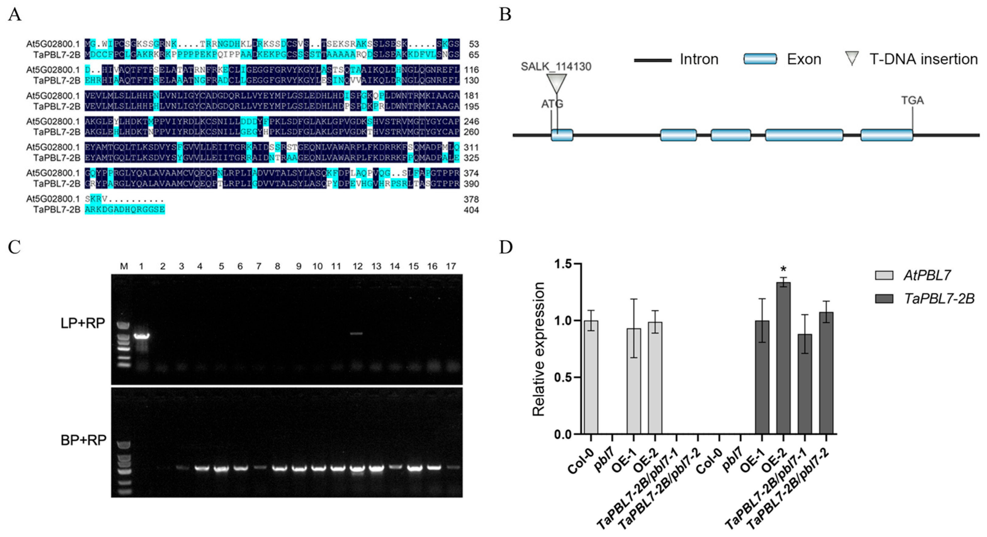 Plants 14 02277 g006