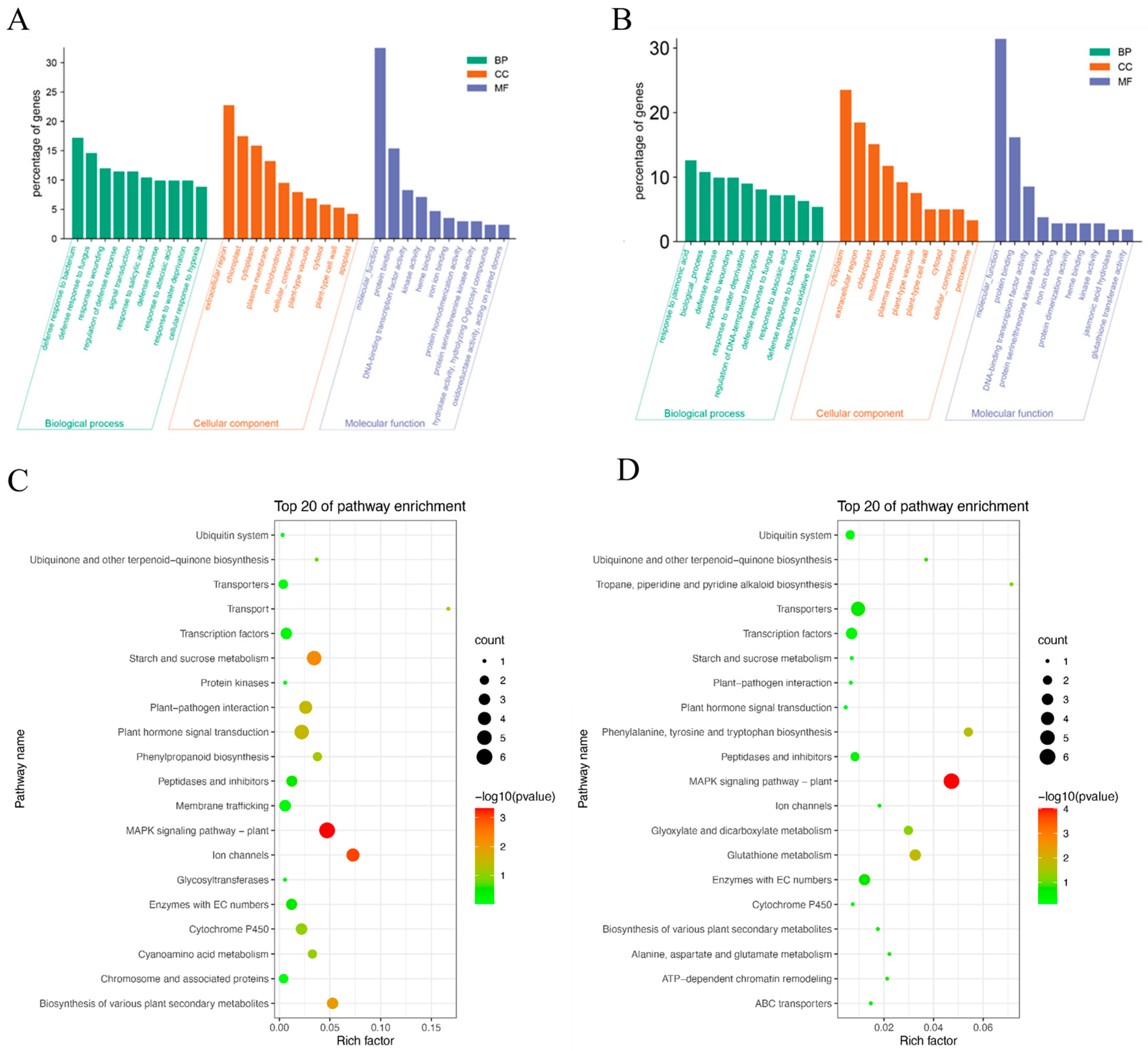 Plants 14 02277 g008