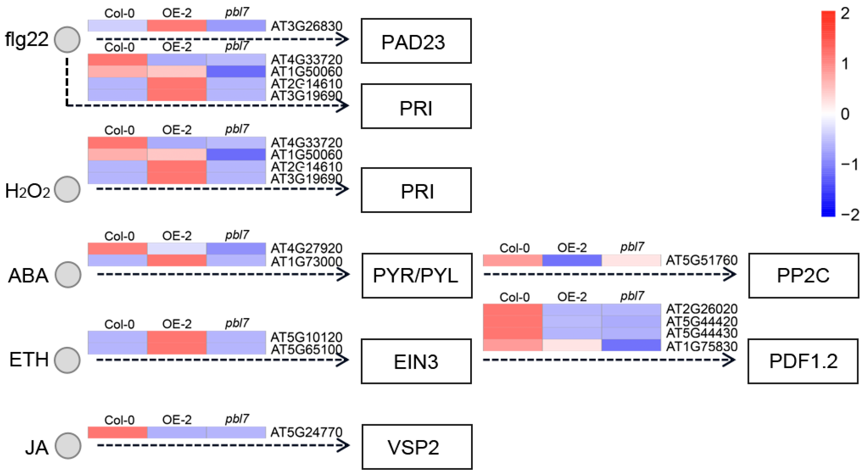 Plants 14 02277 g009