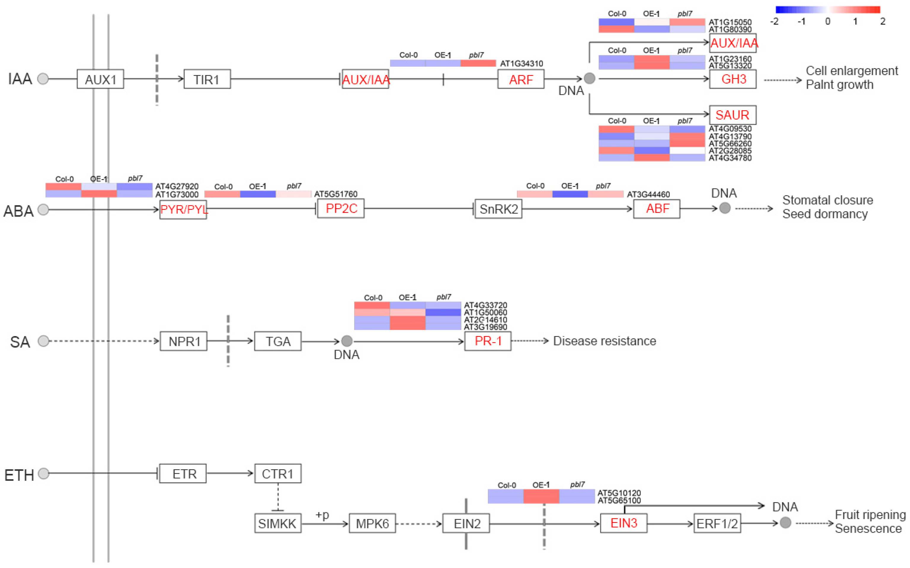 Plants 14 02277 g010