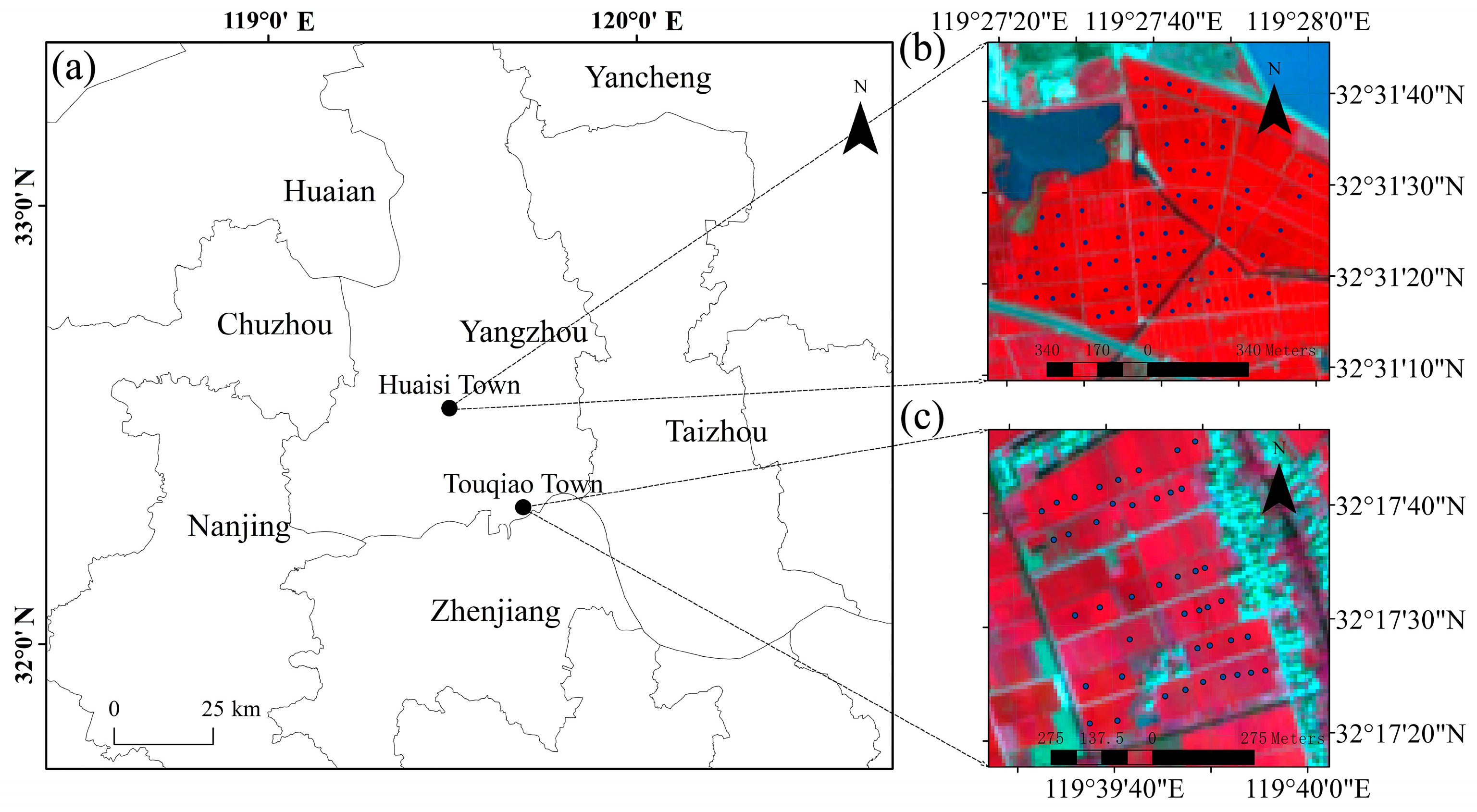 Plants 14 02297 g001