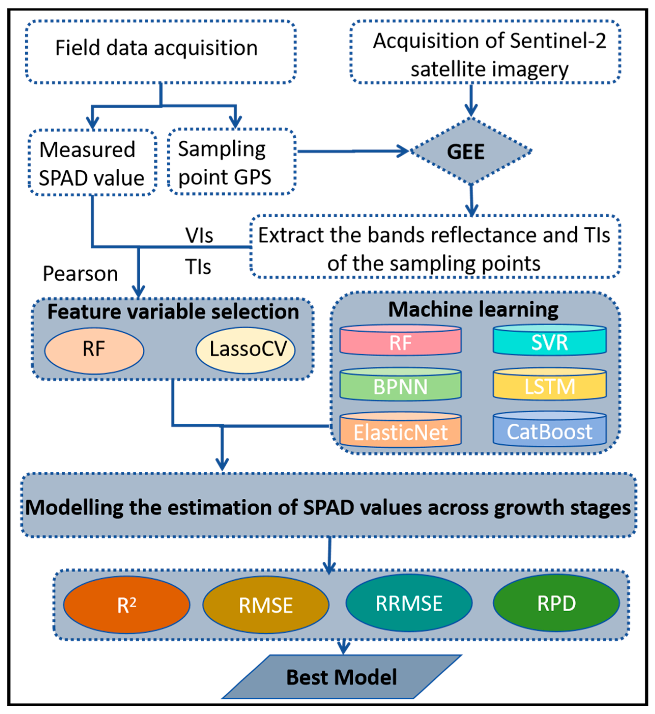 Plants 14 02297 g002
