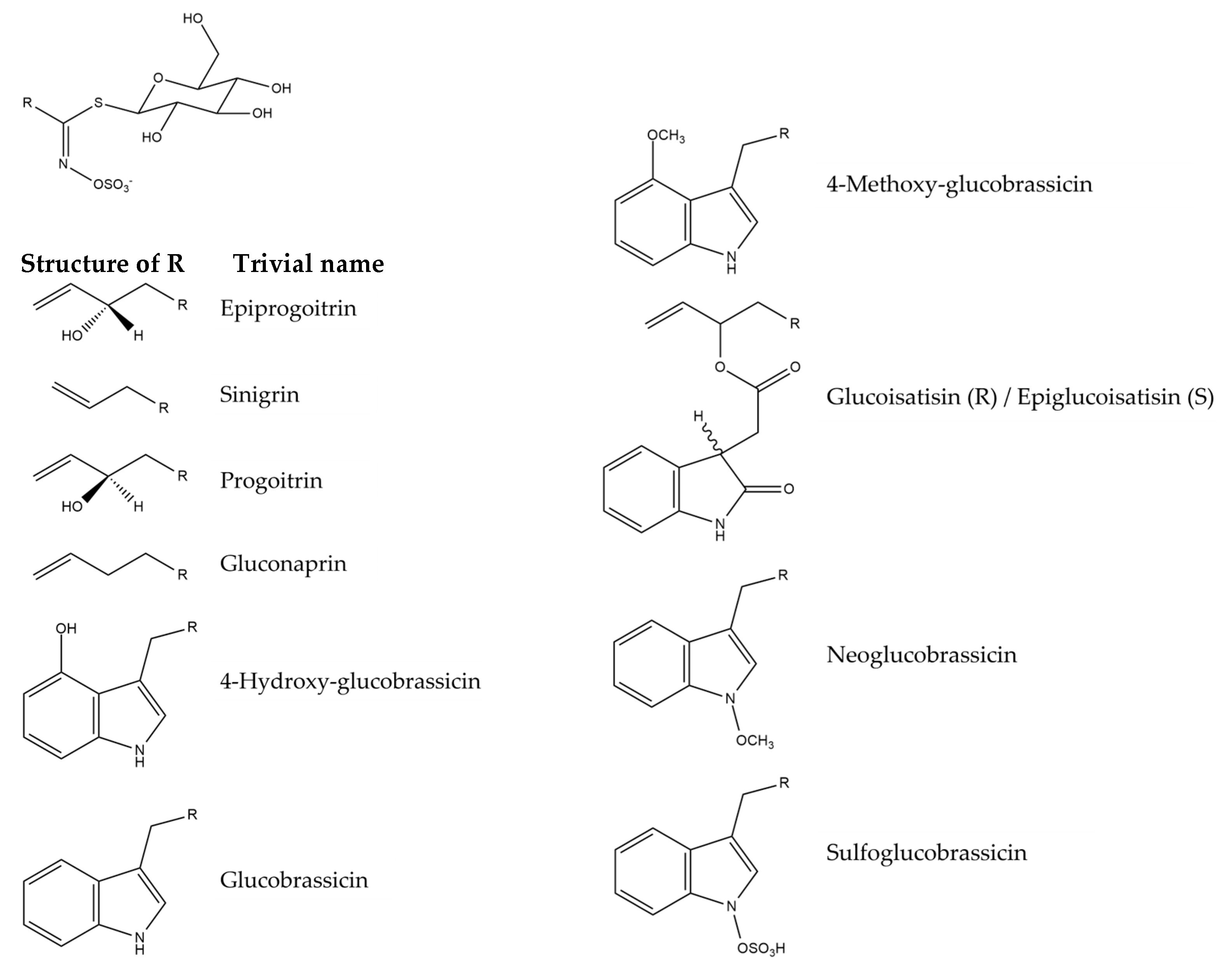 Plants 14 02304 g007