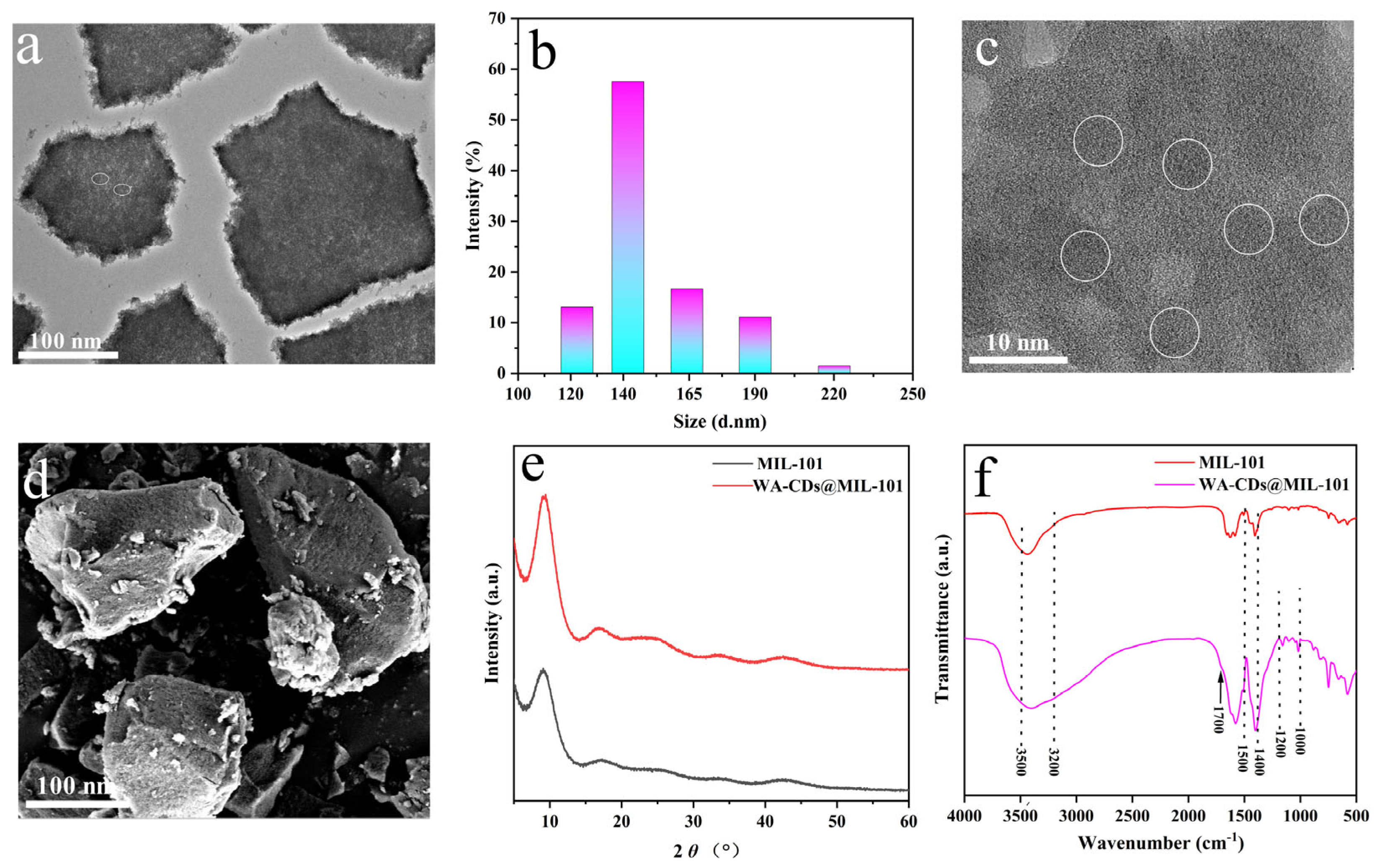 Plants 14 02316 g002